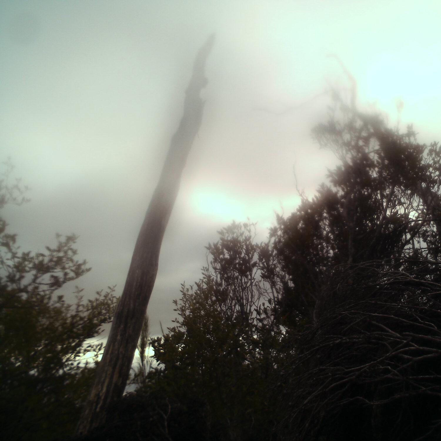 A photo captured from the webcam at the time the audio was recorded