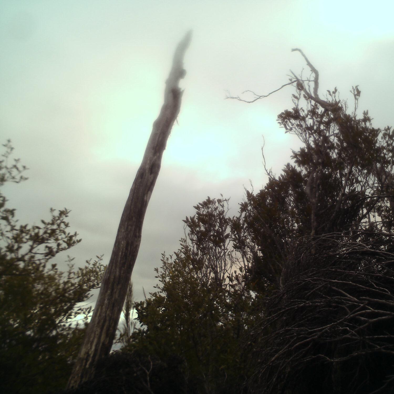 A photo captured from the webcam at the time the audio was recorded