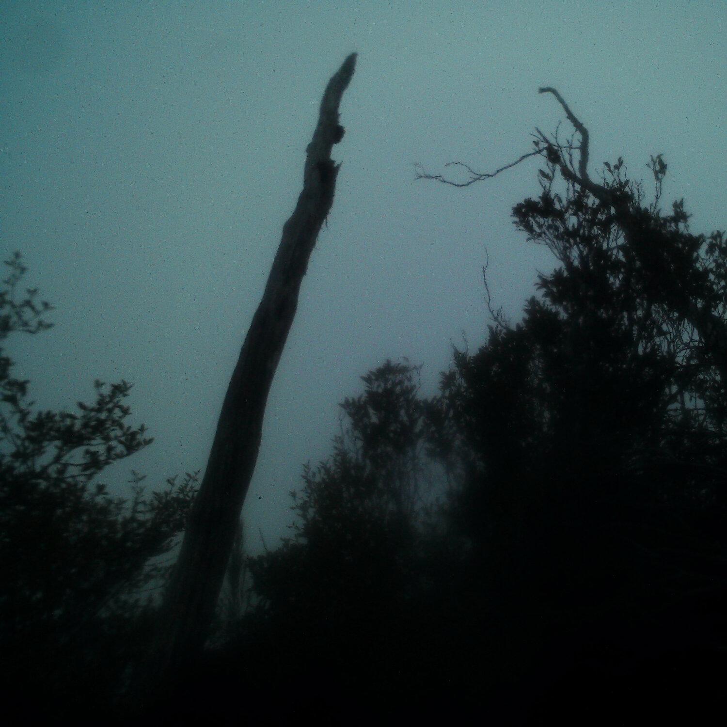 A photo captured from the webcam at the time the audio was recorded