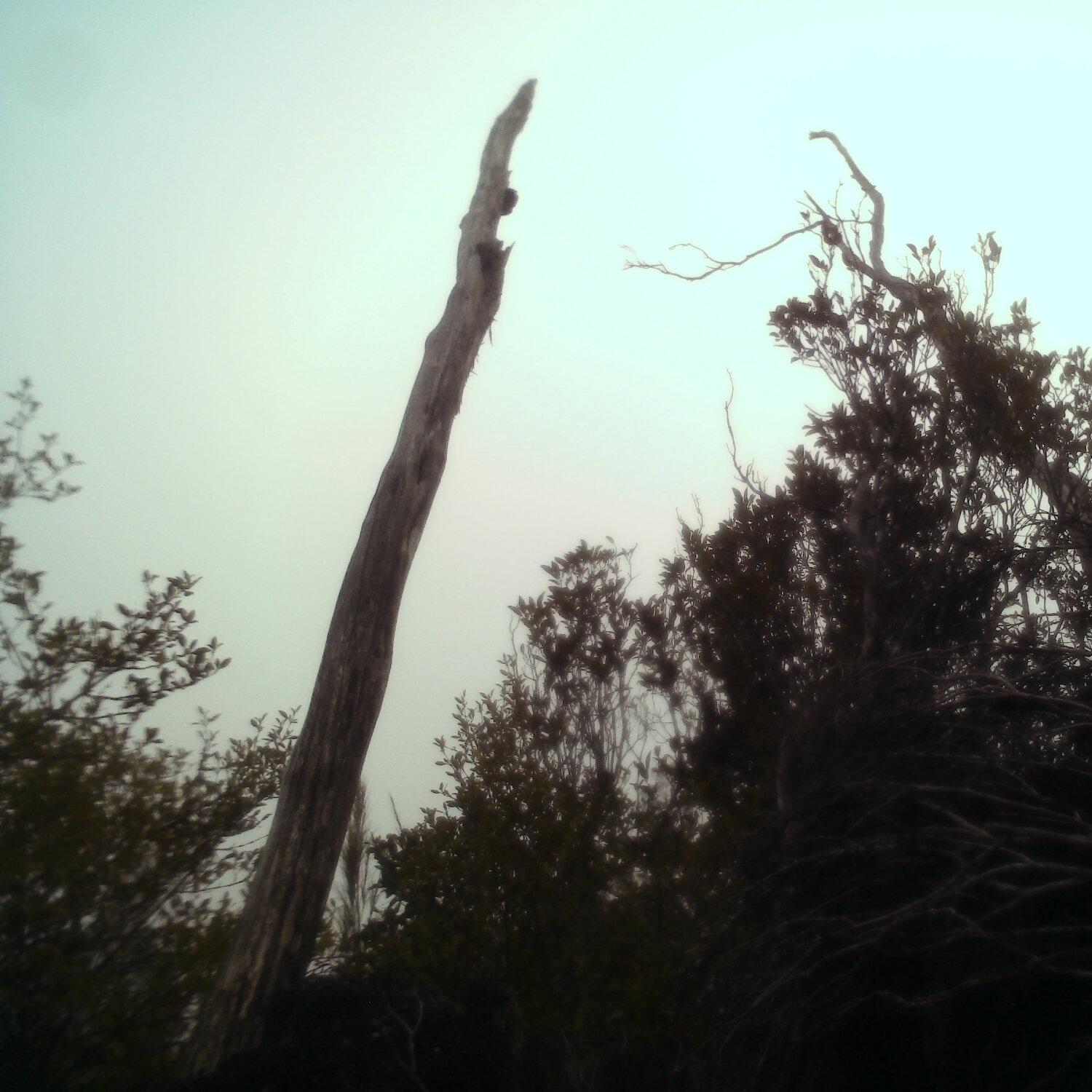 A photo captured from the webcam at the time the audio was recorded