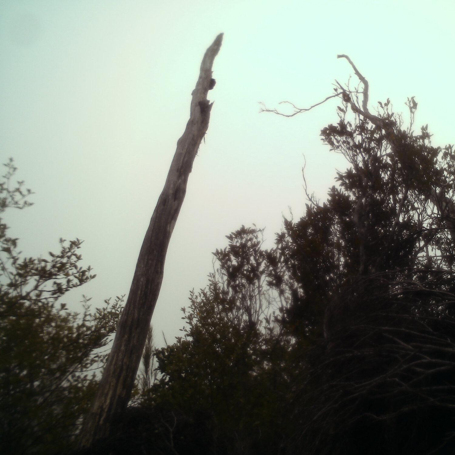 A photo captured from the webcam at the time the audio was recorded