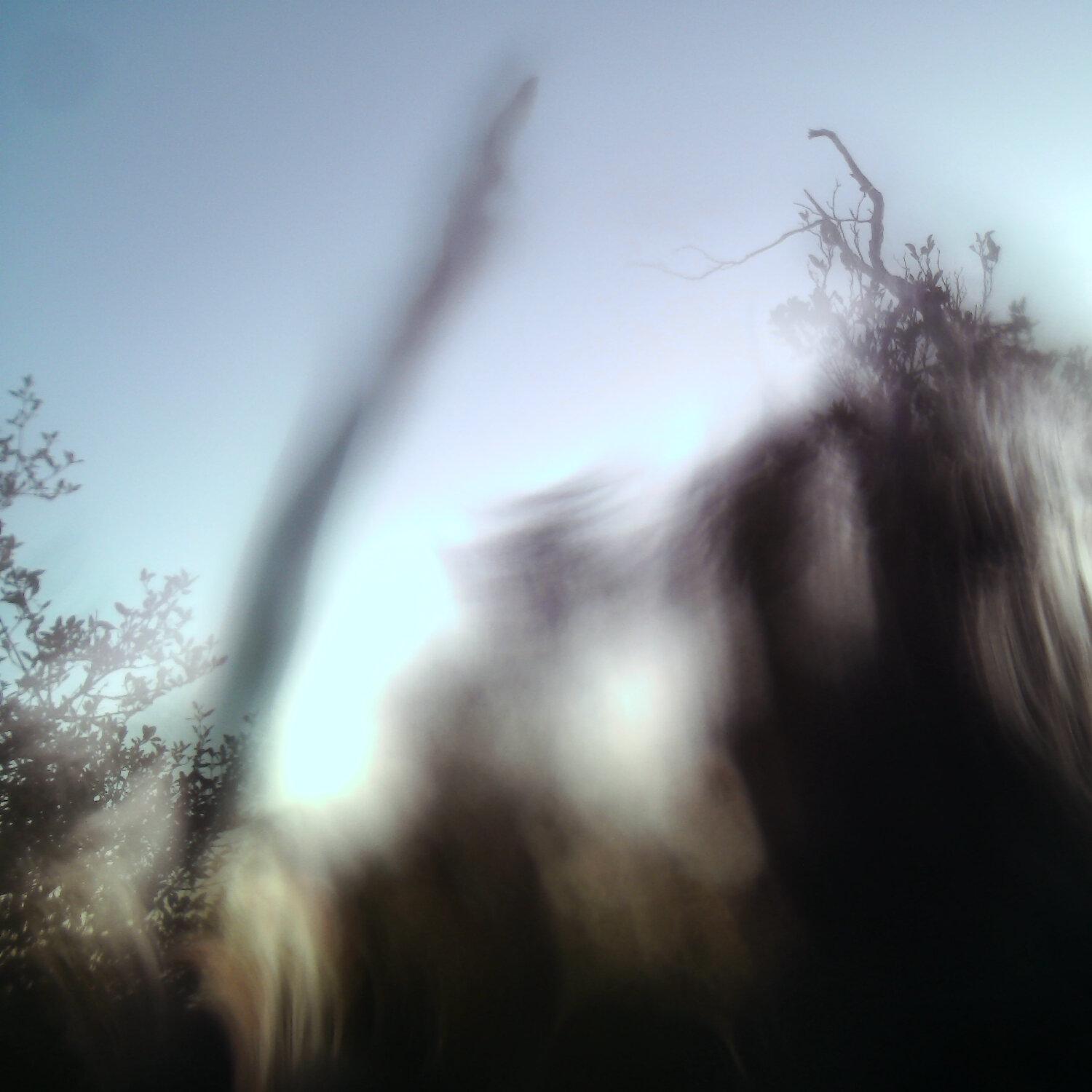 A photo captured from the webcam at the time the audio was recorded