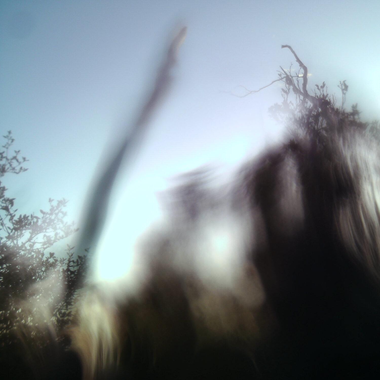 A photo captured from the webcam at the time the audio was recorded
