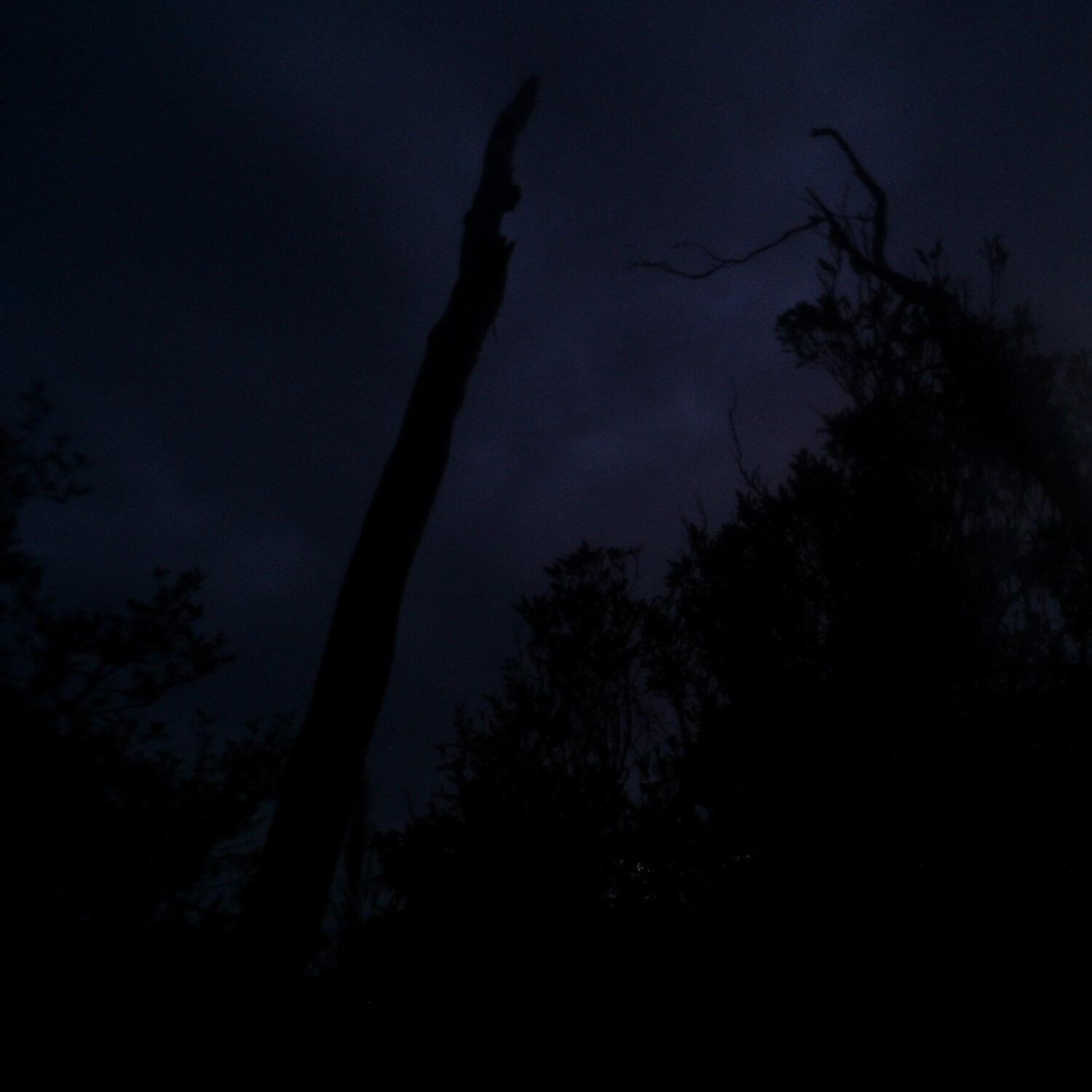 A photo captured from the webcam at the time the audio was recorded