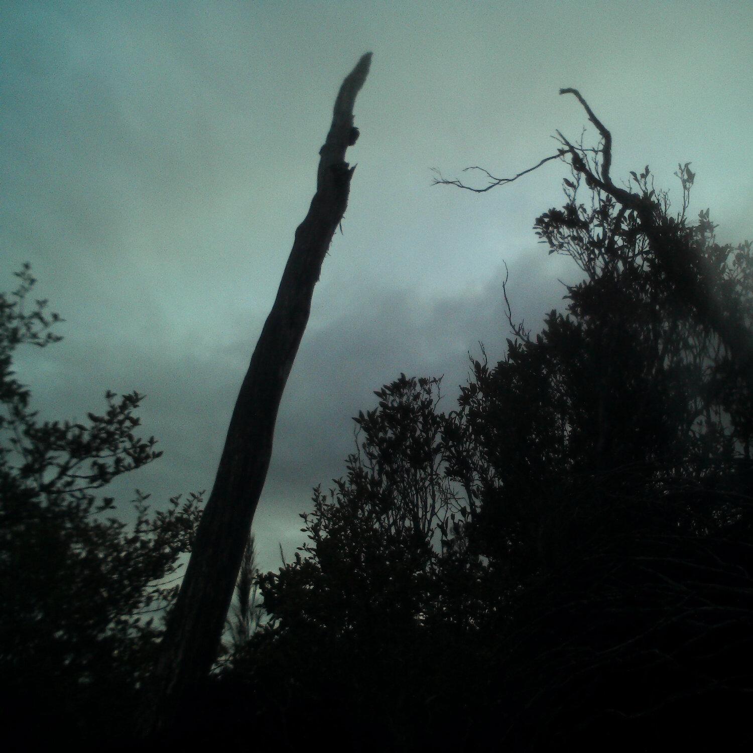 A photo captured from the webcam at the time the audio was recorded