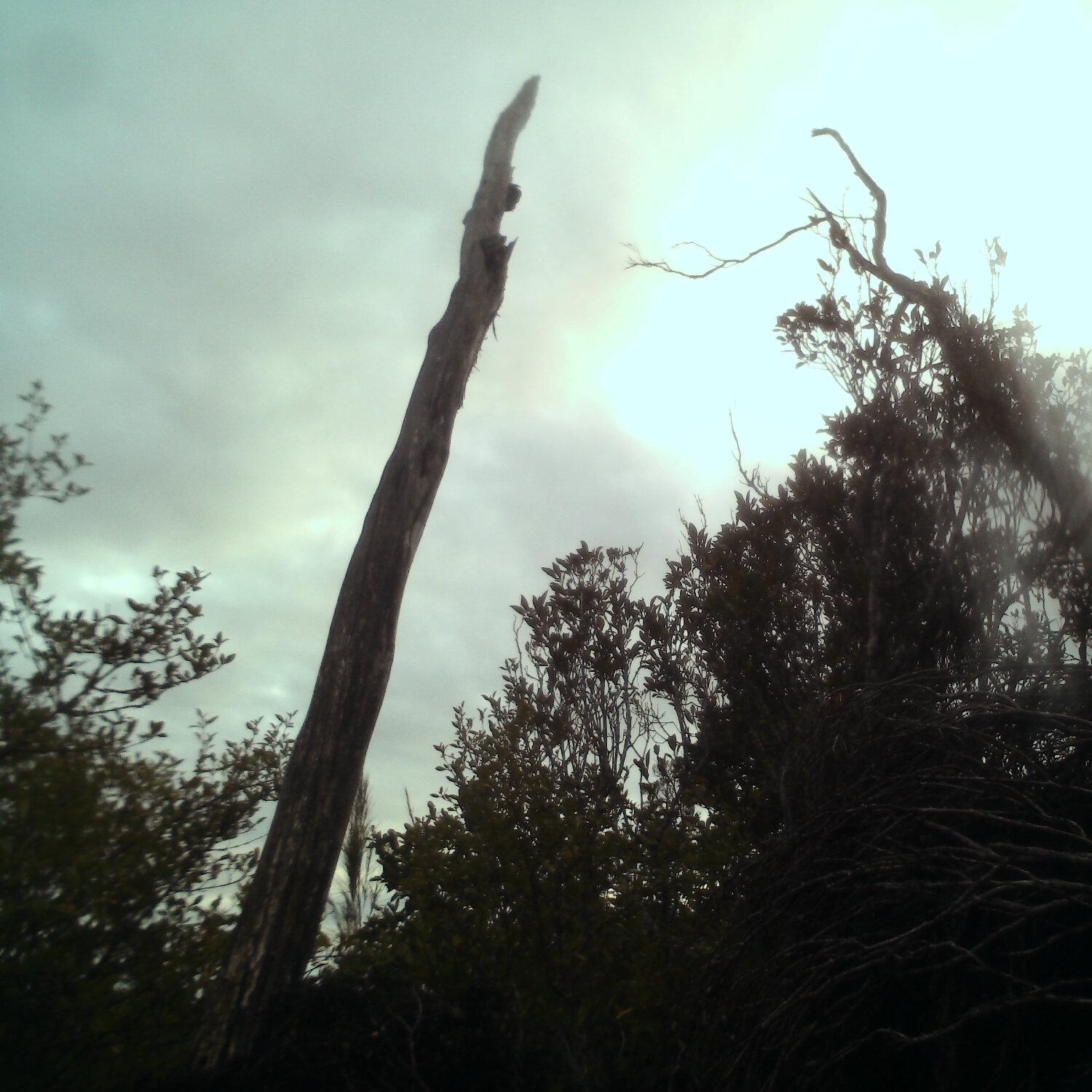 A photo captured from the webcam at the time the audio was recorded
