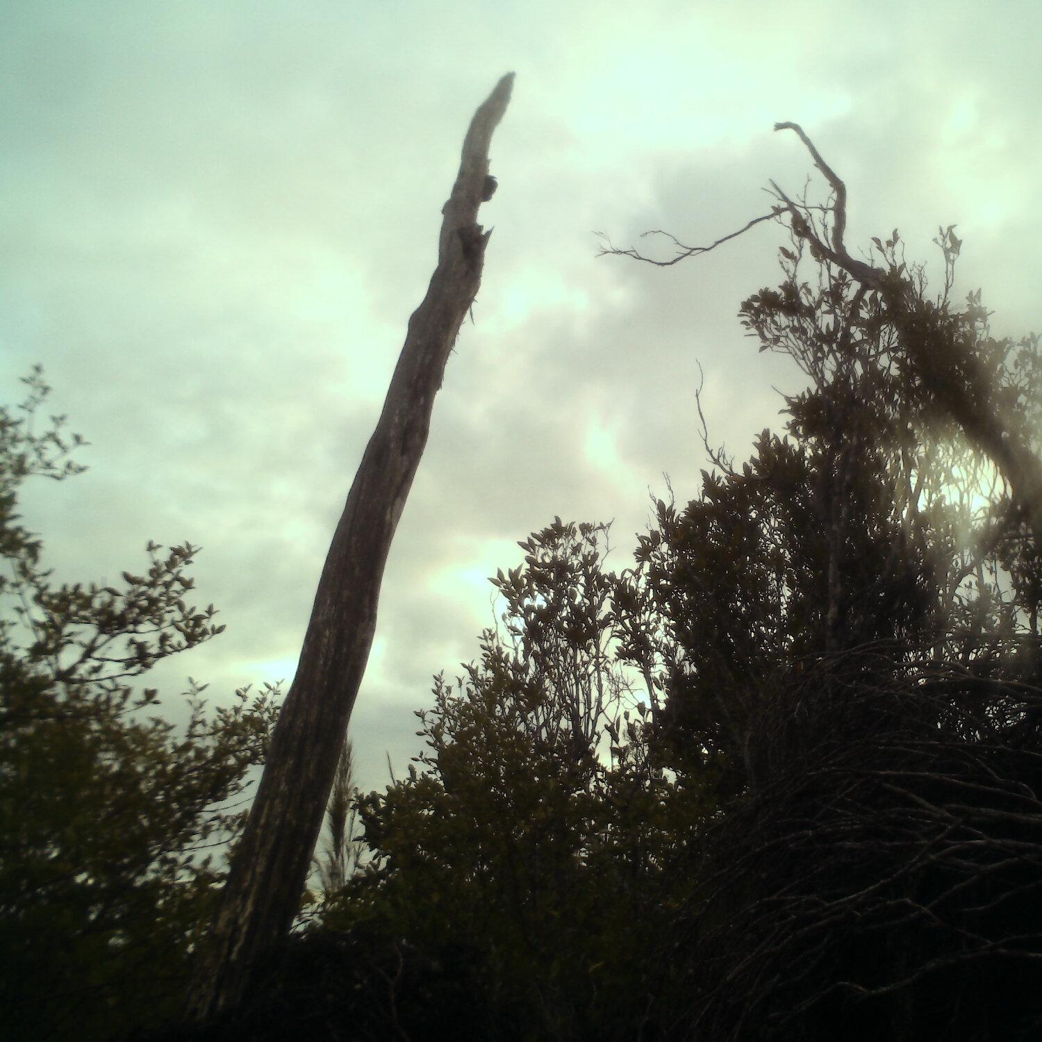 A photo captured from the webcam at the time the audio was recorded