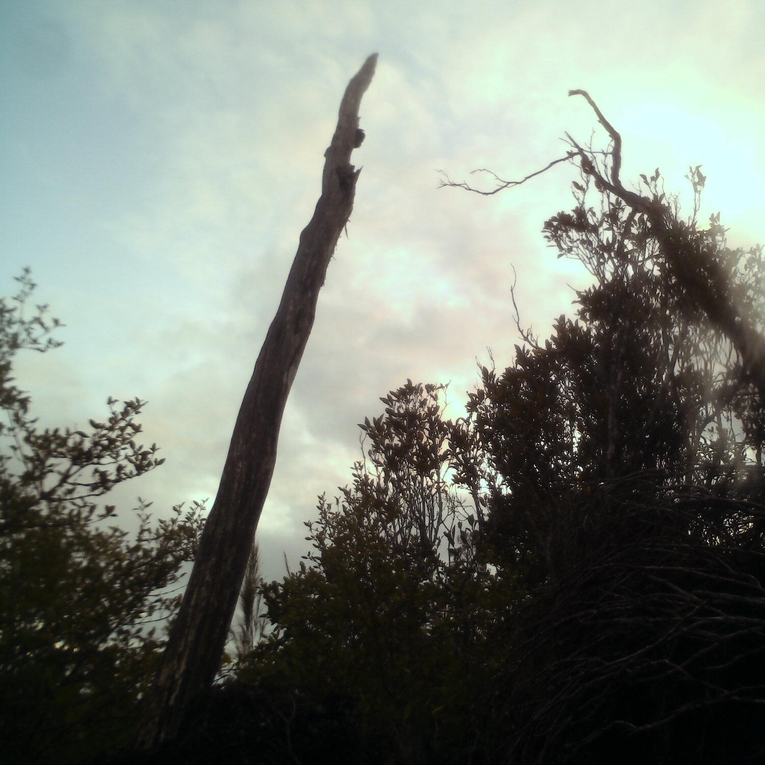 A photo captured from the webcam at the time the audio was recorded