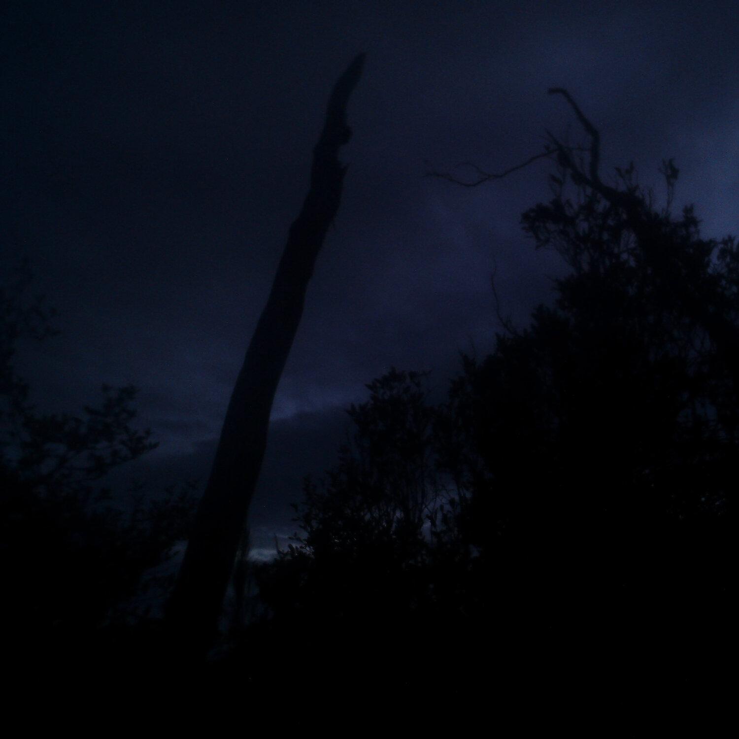 A photo captured from the webcam at the time the audio was recorded