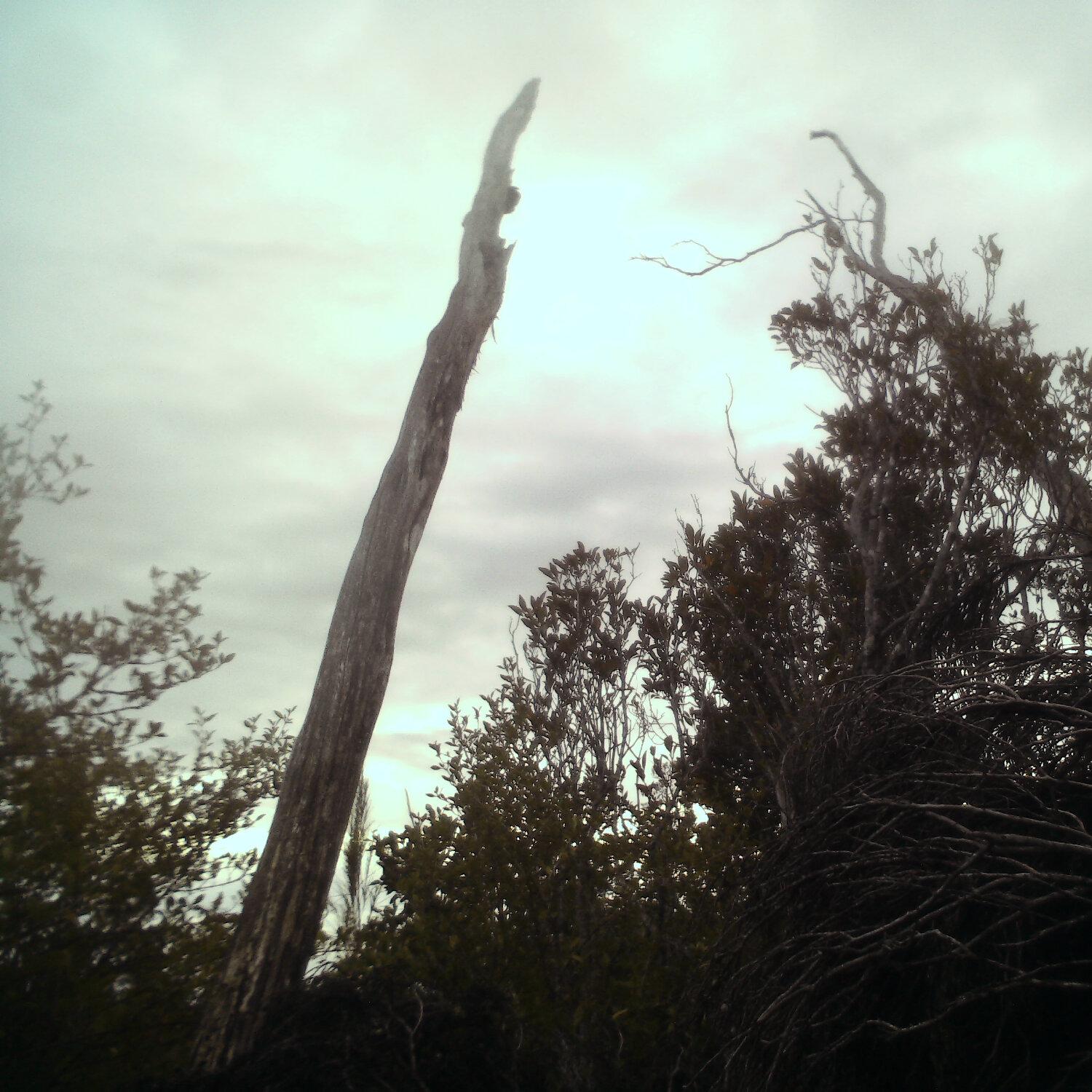 A photo captured from the webcam at the time the audio was recorded