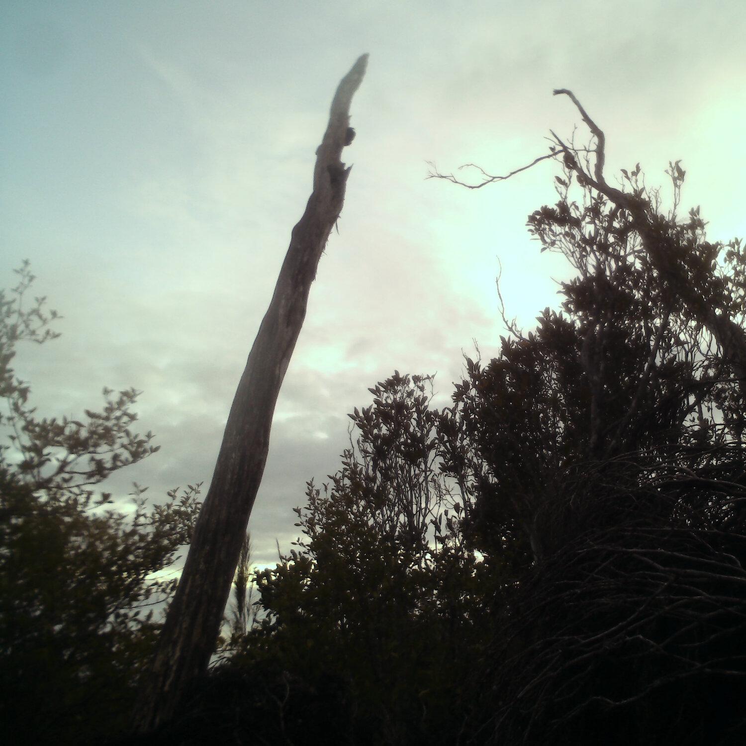 A photo captured from the webcam at the time the audio was recorded