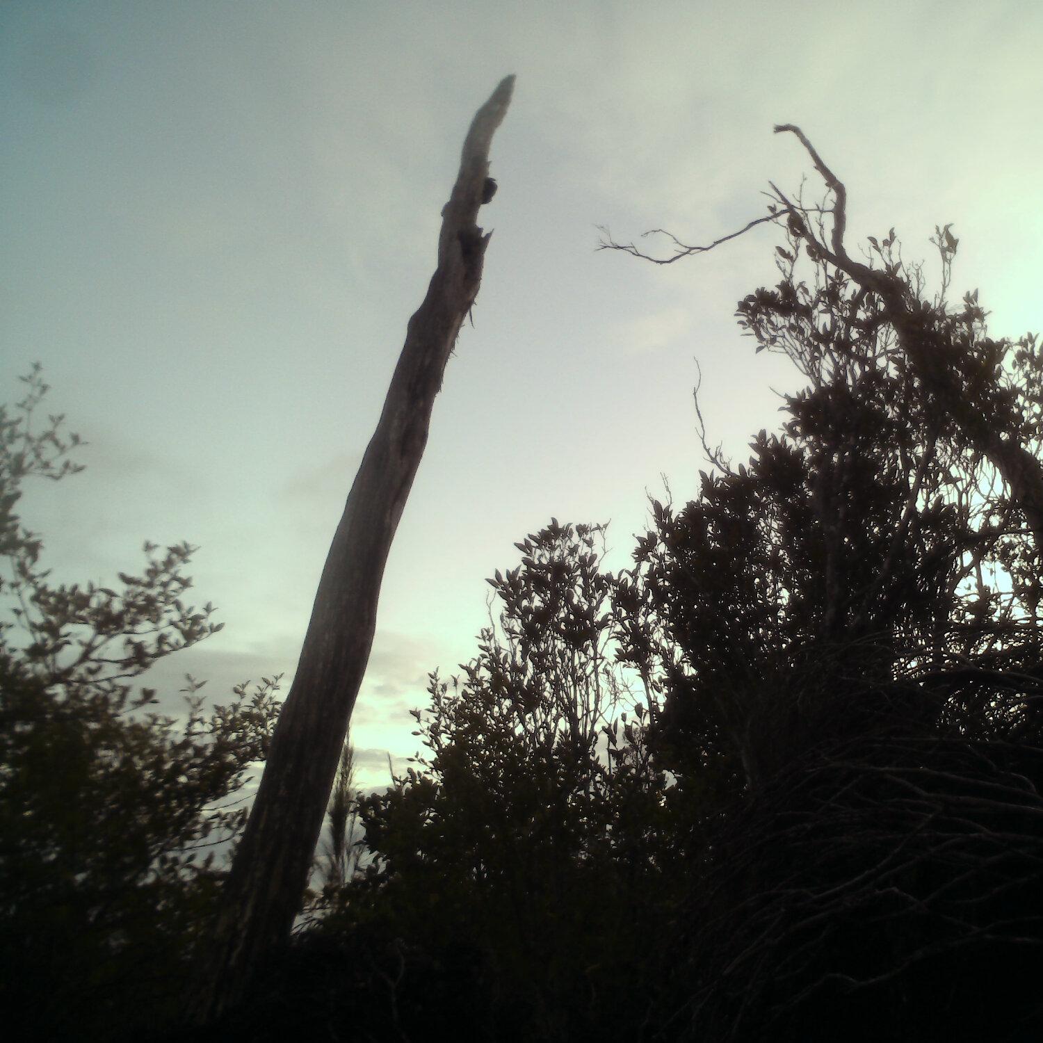 A photo captured from the webcam at the time the audio was recorded