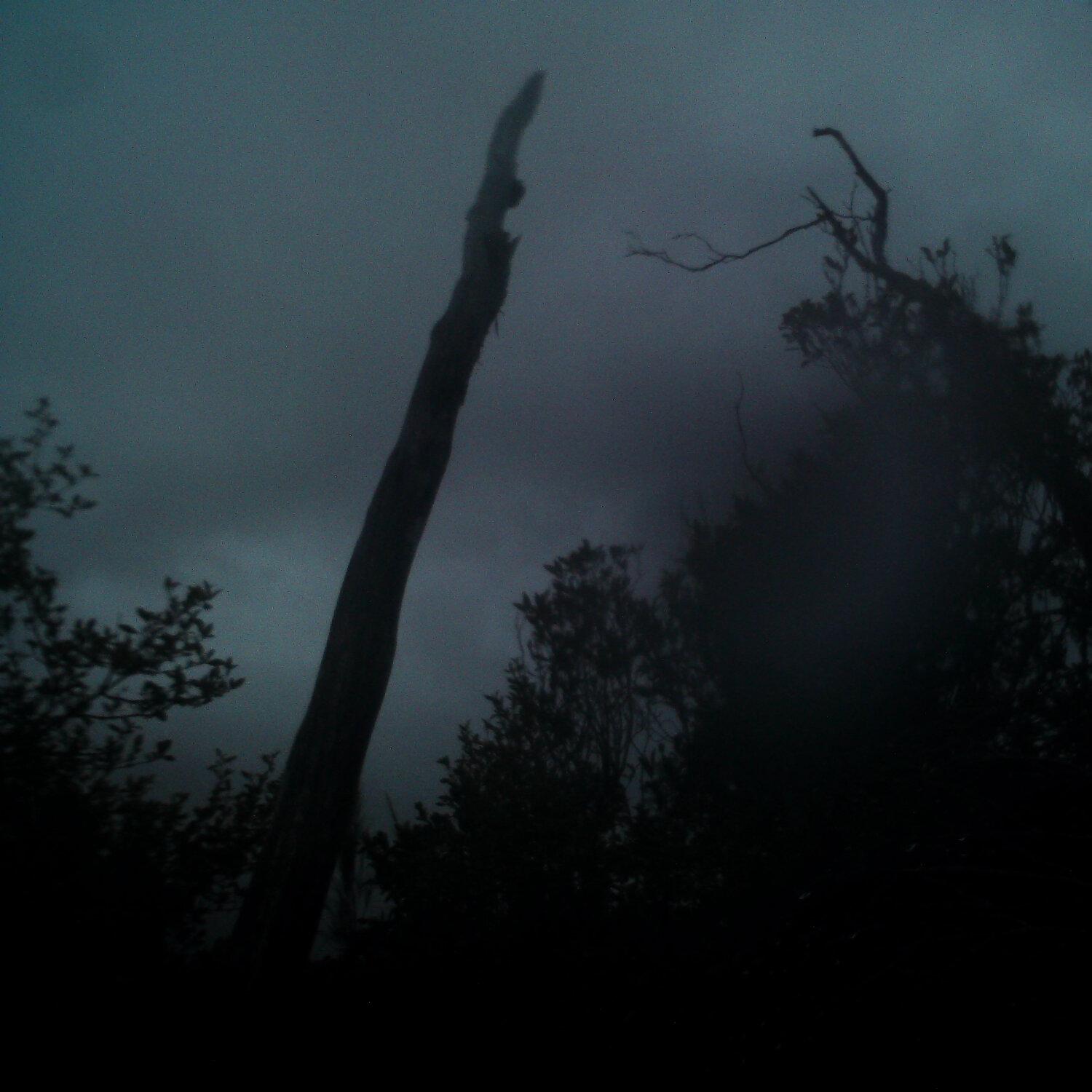 A photo captured from the webcam at the time the audio was recorded