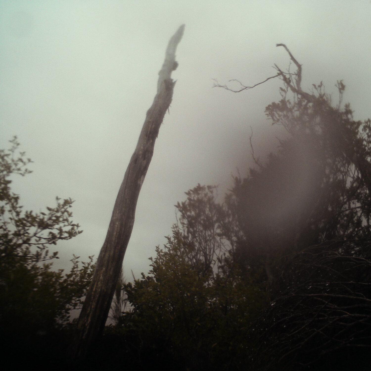 A photo captured from the webcam at the time the audio was recorded
