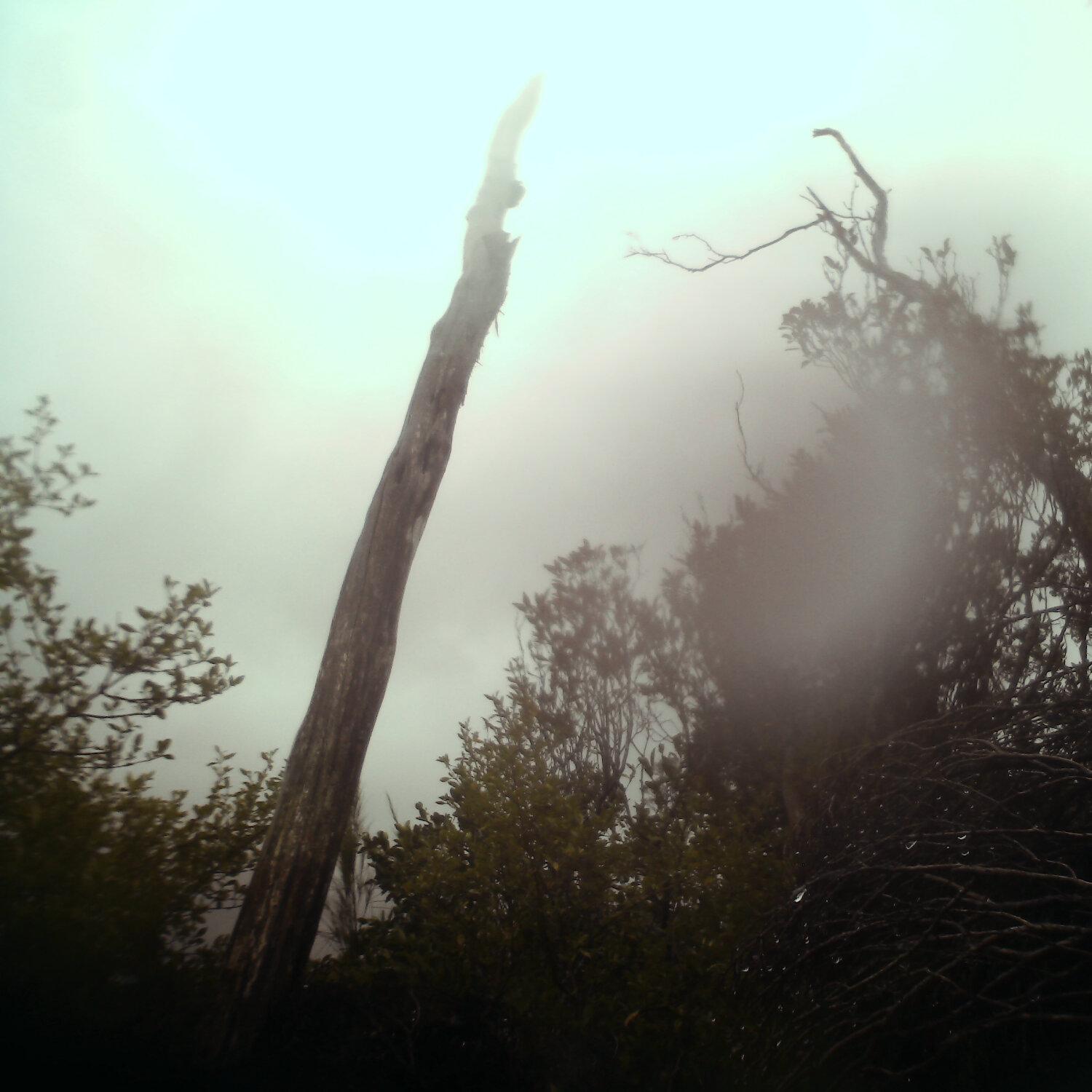 A photo captured from the webcam at the time the audio was recorded