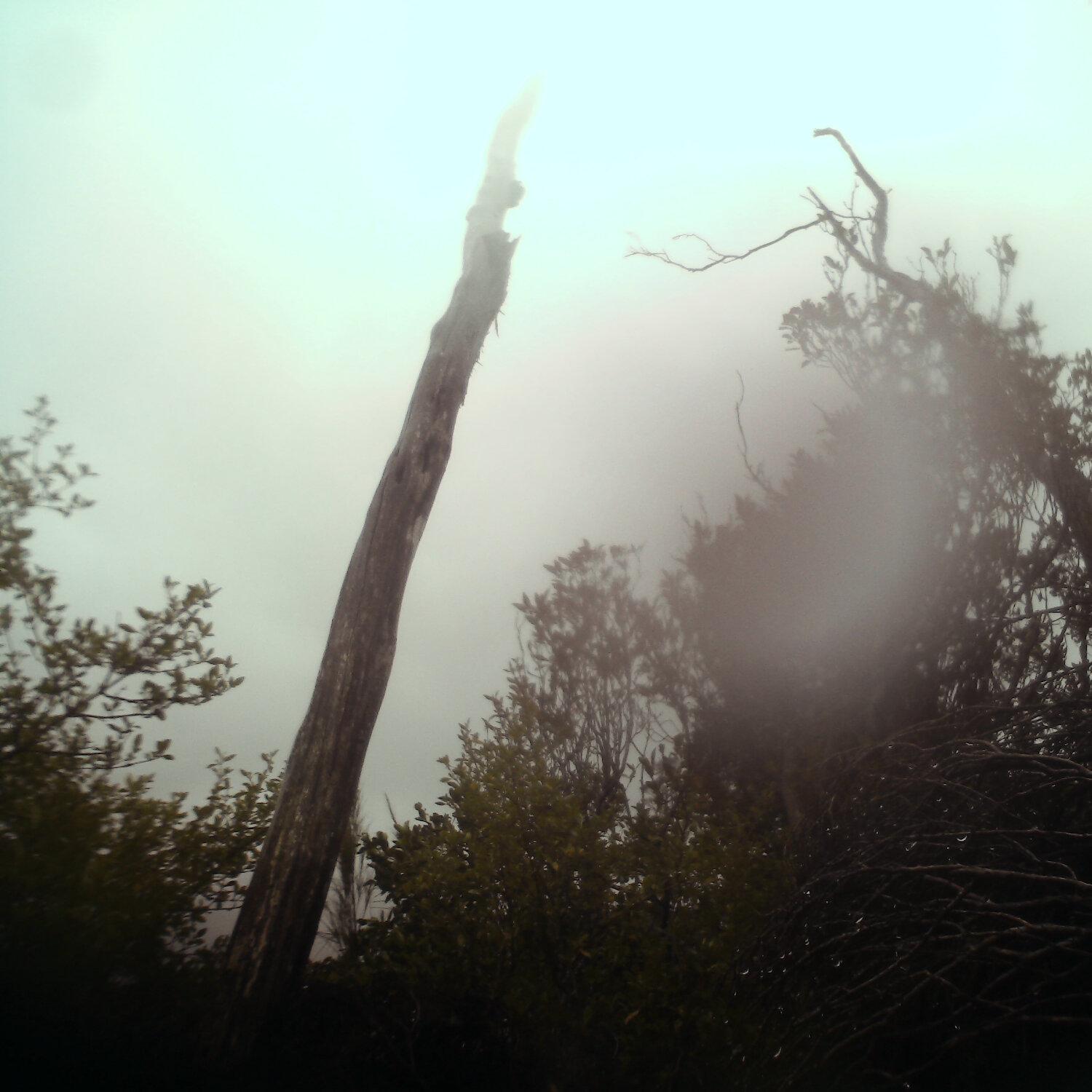A photo captured from the webcam at the time the audio was recorded