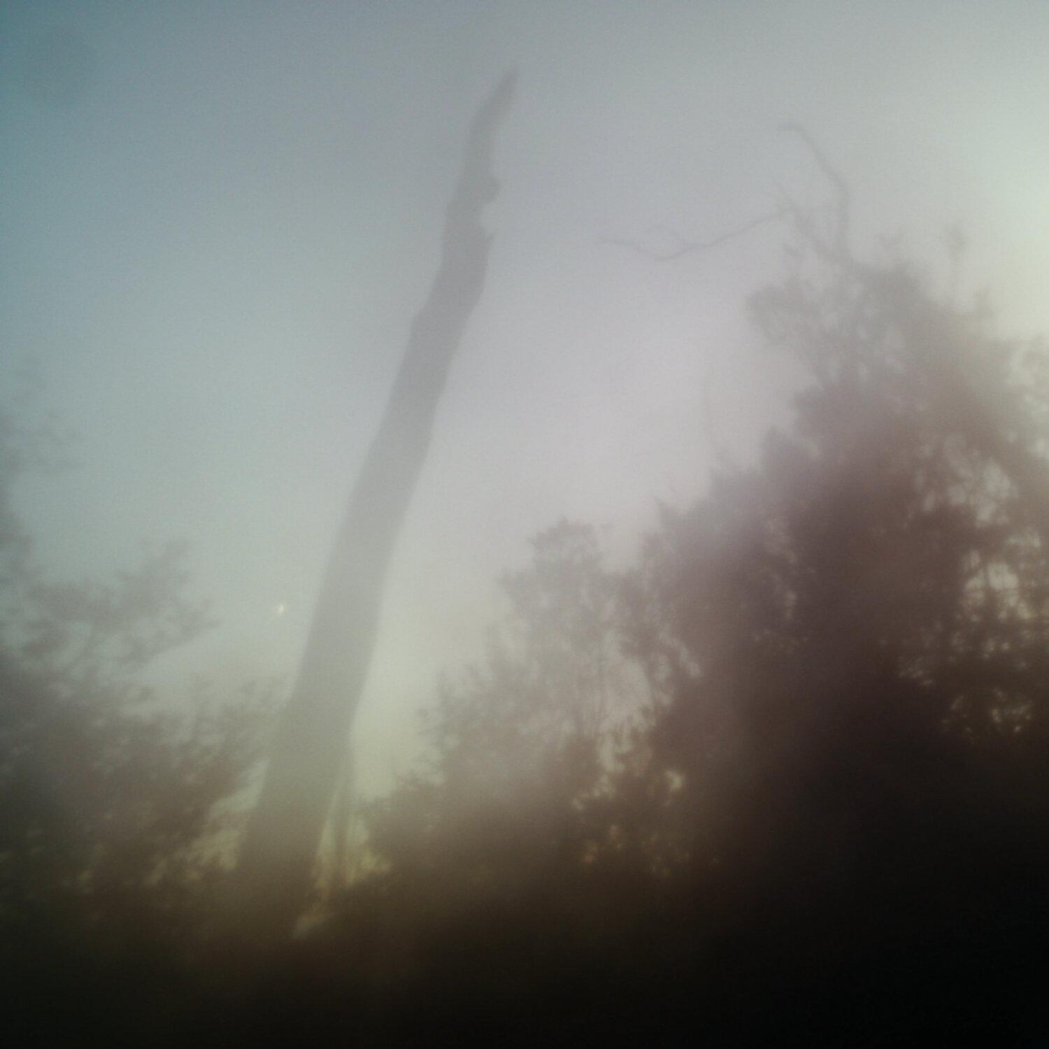 A photo captured from the webcam at the time the audio was recorded