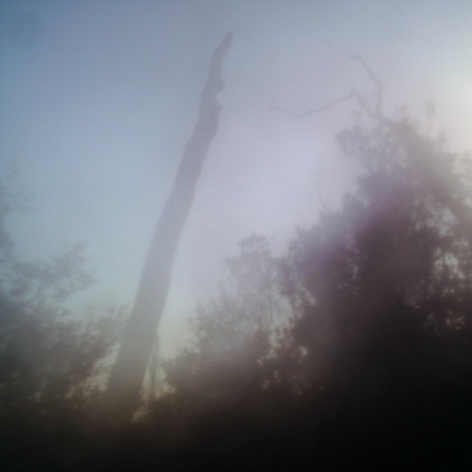A photo captured from the webcam at the time the audio was recorded
