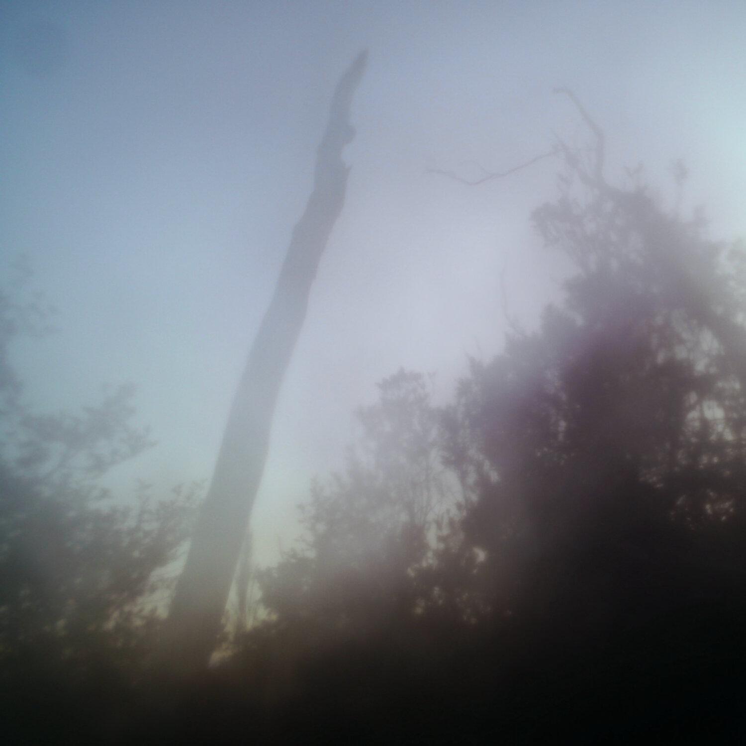 A photo captured from the webcam at the time the audio was recorded