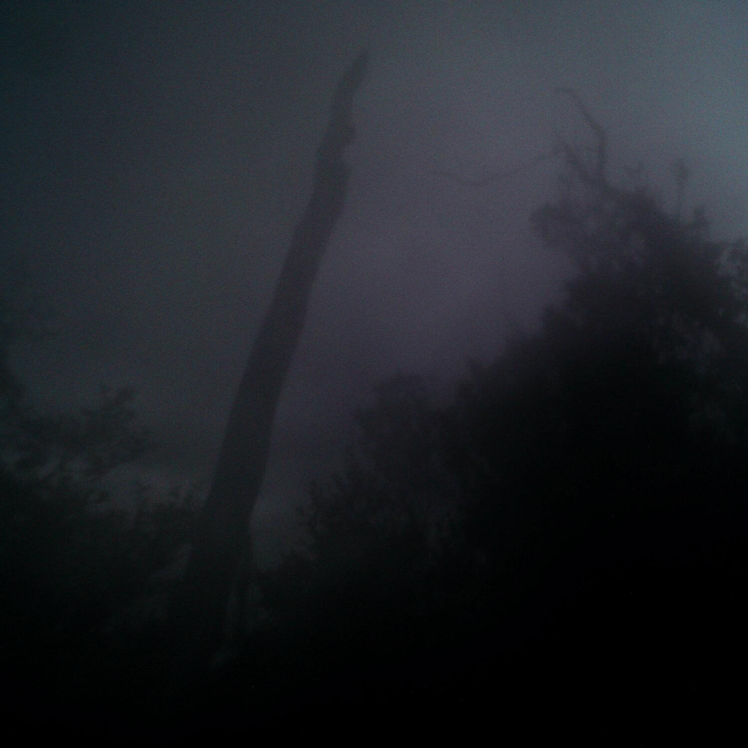 A photo captured from the webcam at the time the audio was recorded