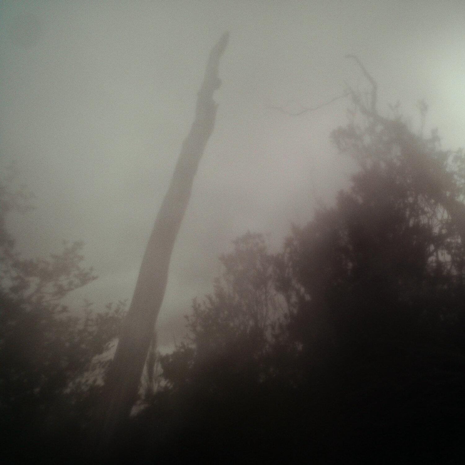 A photo captured from the webcam at the time the audio was recorded