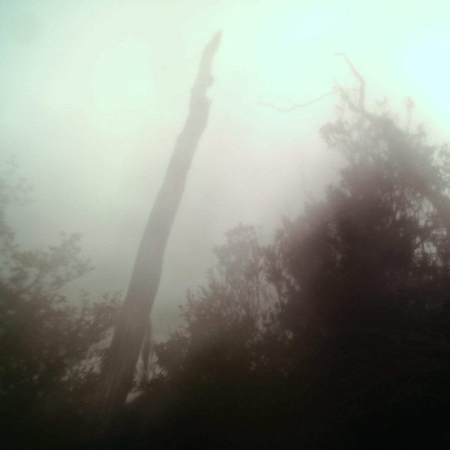 A photo captured from the webcam at the time the audio was recorded