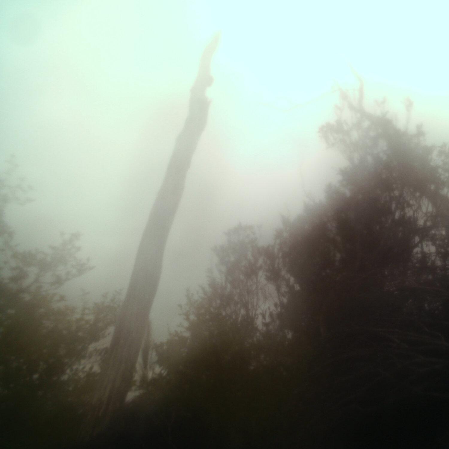 A photo captured from the webcam at the time the audio was recorded
