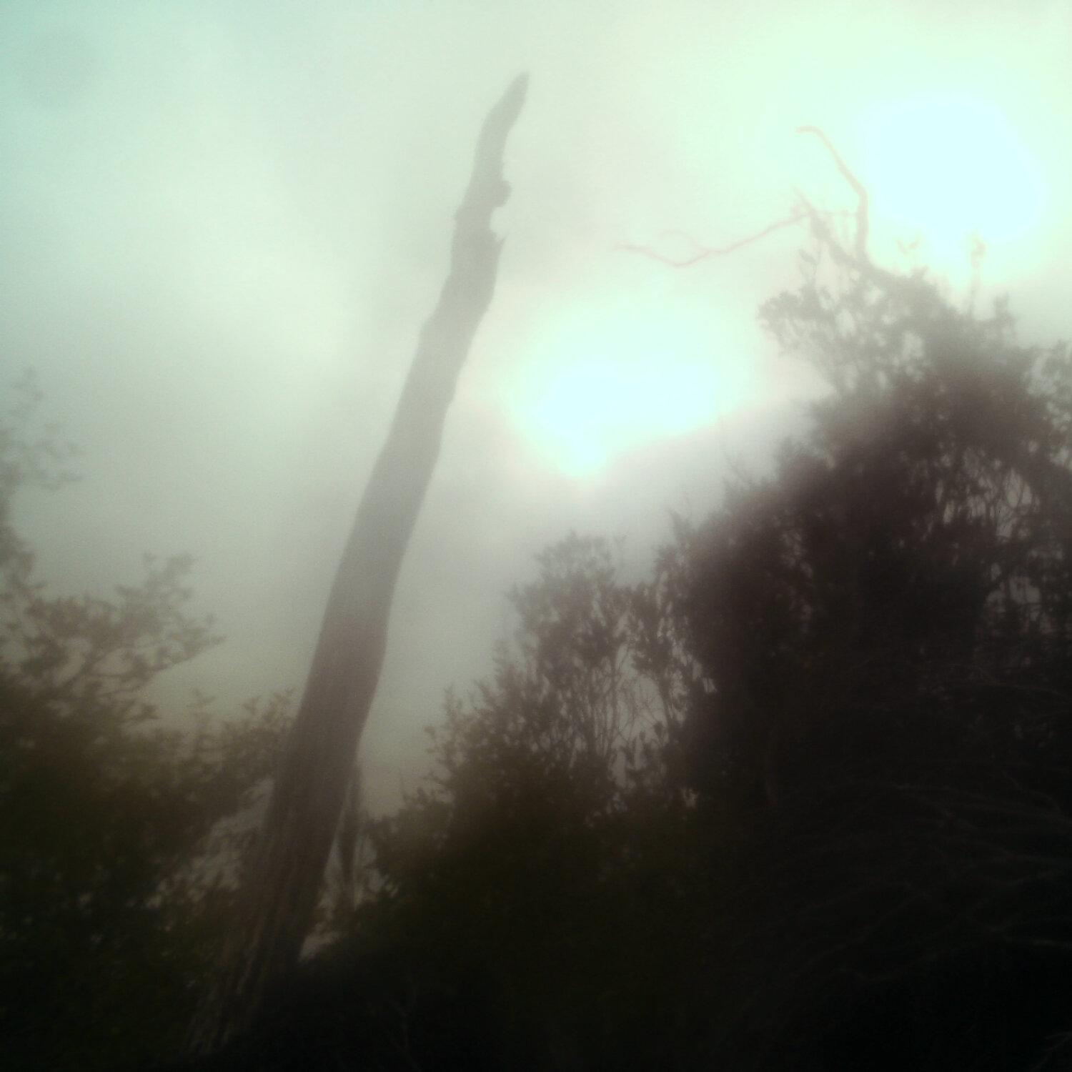 A photo captured from the webcam at the time the audio was recorded