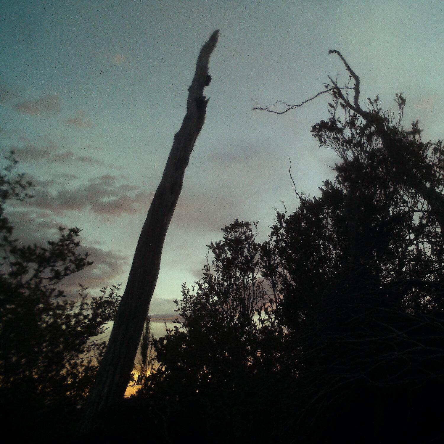 A photo captured from the webcam at the time the audio was recorded