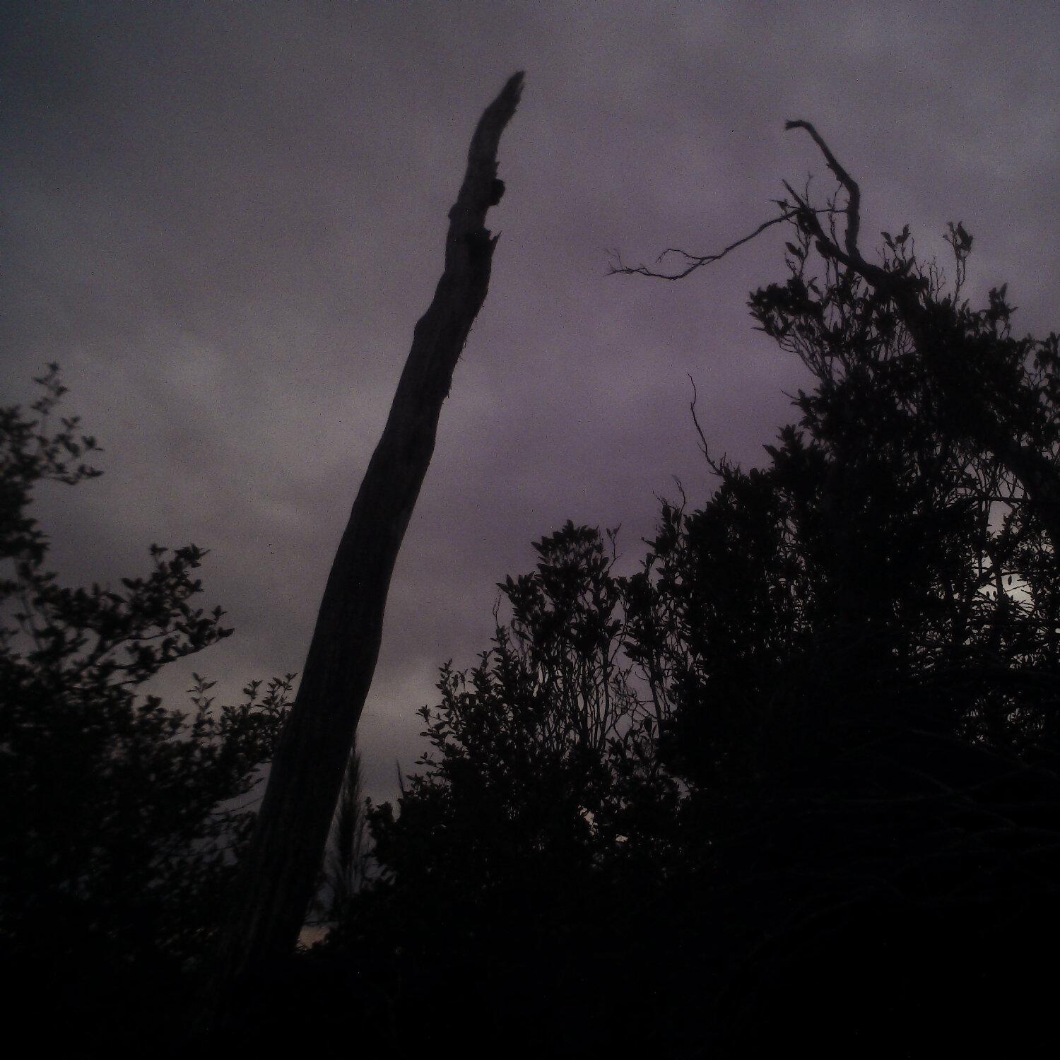 A photo captured from the webcam at the time the audio was recorded