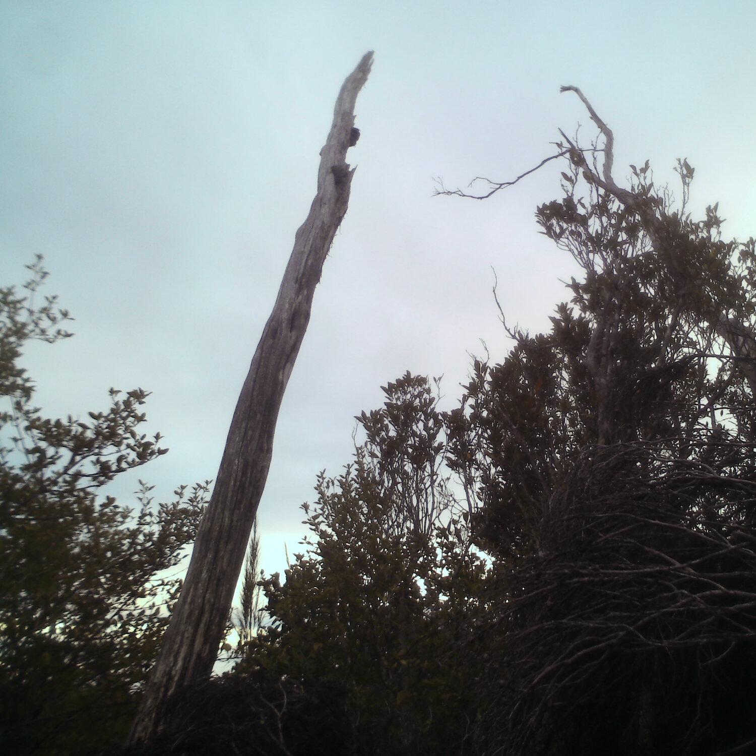 A photo captured from the webcam at the time the audio was recorded
