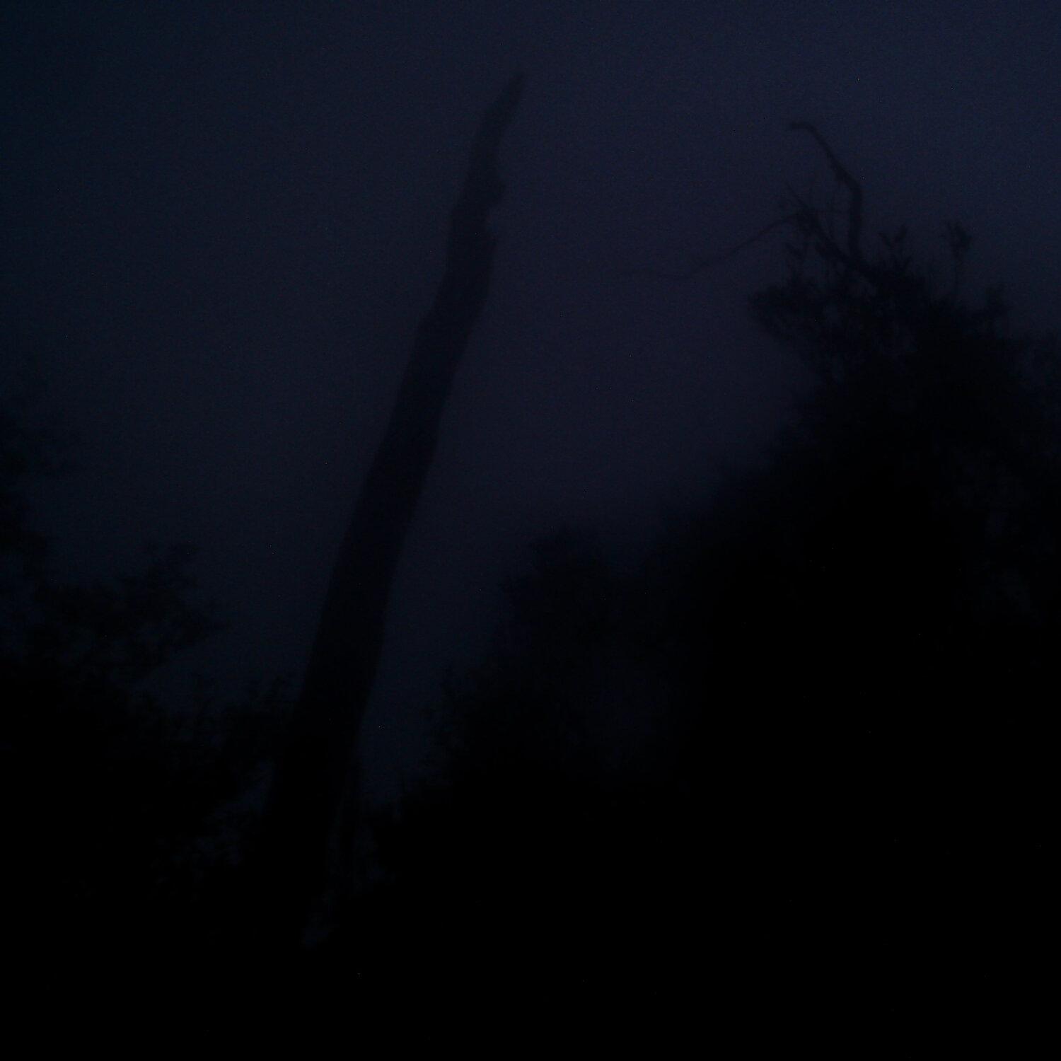 A photo captured from the webcam at the time the audio was recorded