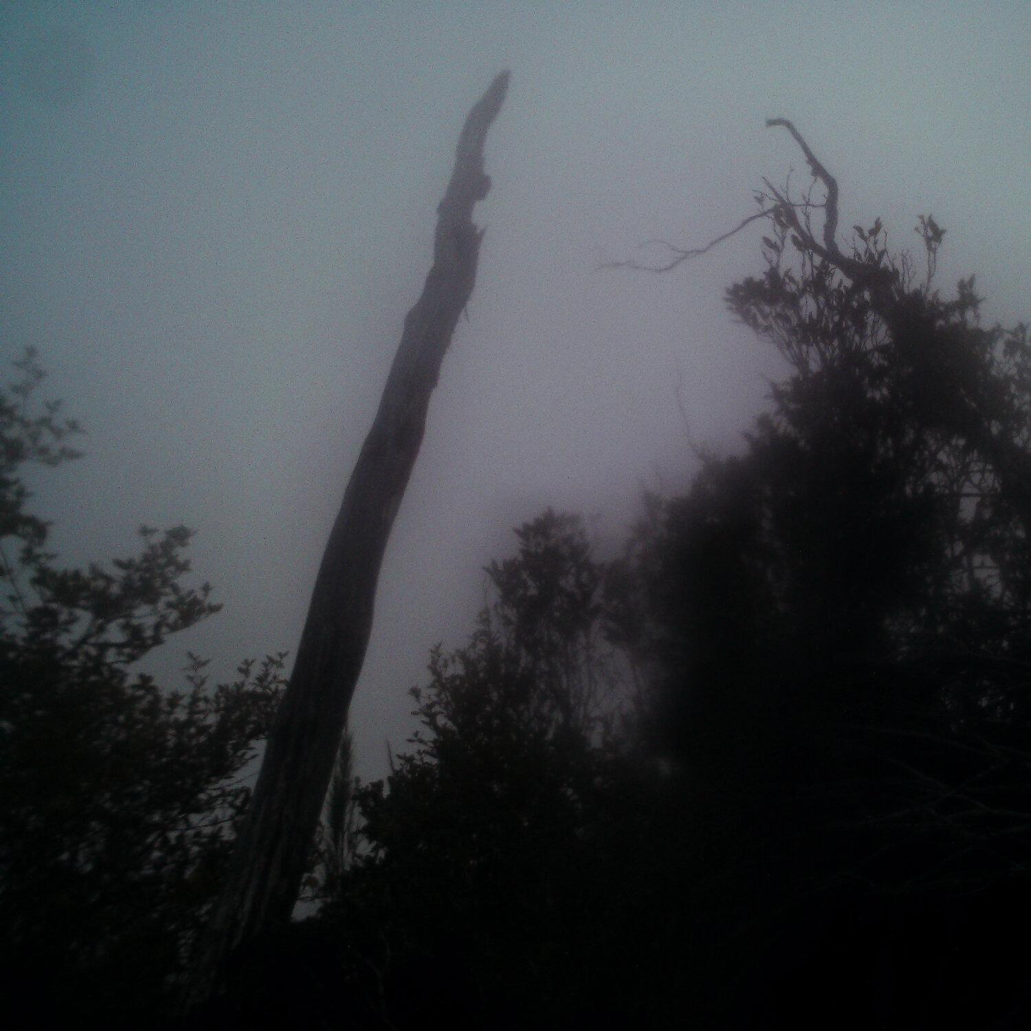 A photo captured from the webcam at the time the audio was recorded