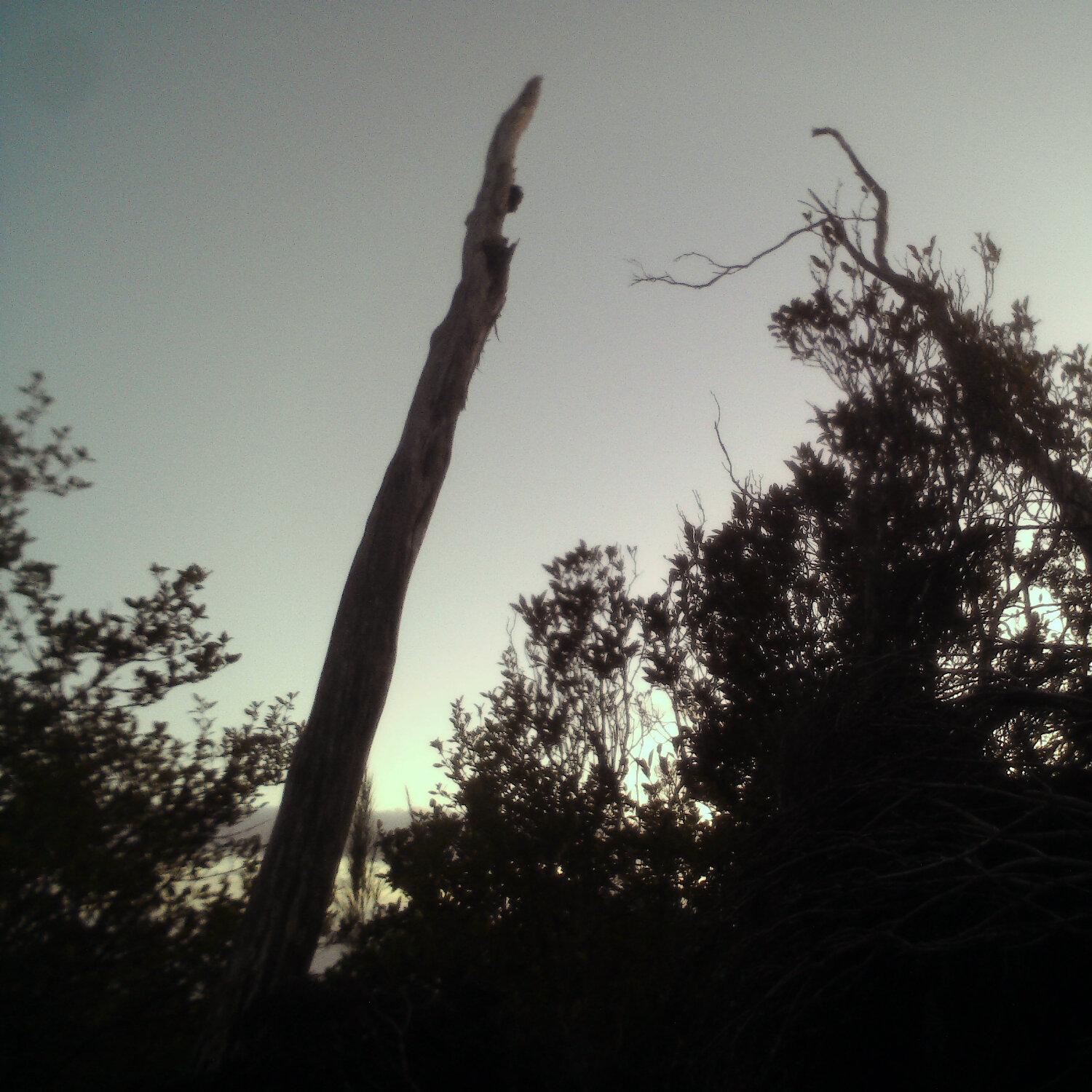 A photo captured from the webcam at the time the audio was recorded