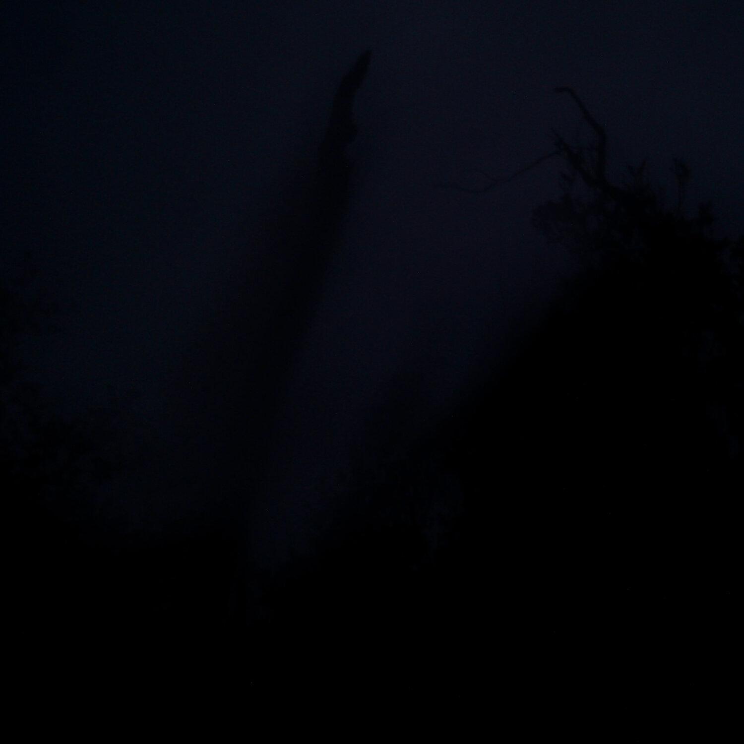 A photo captured from the webcam at the time the audio was recorded