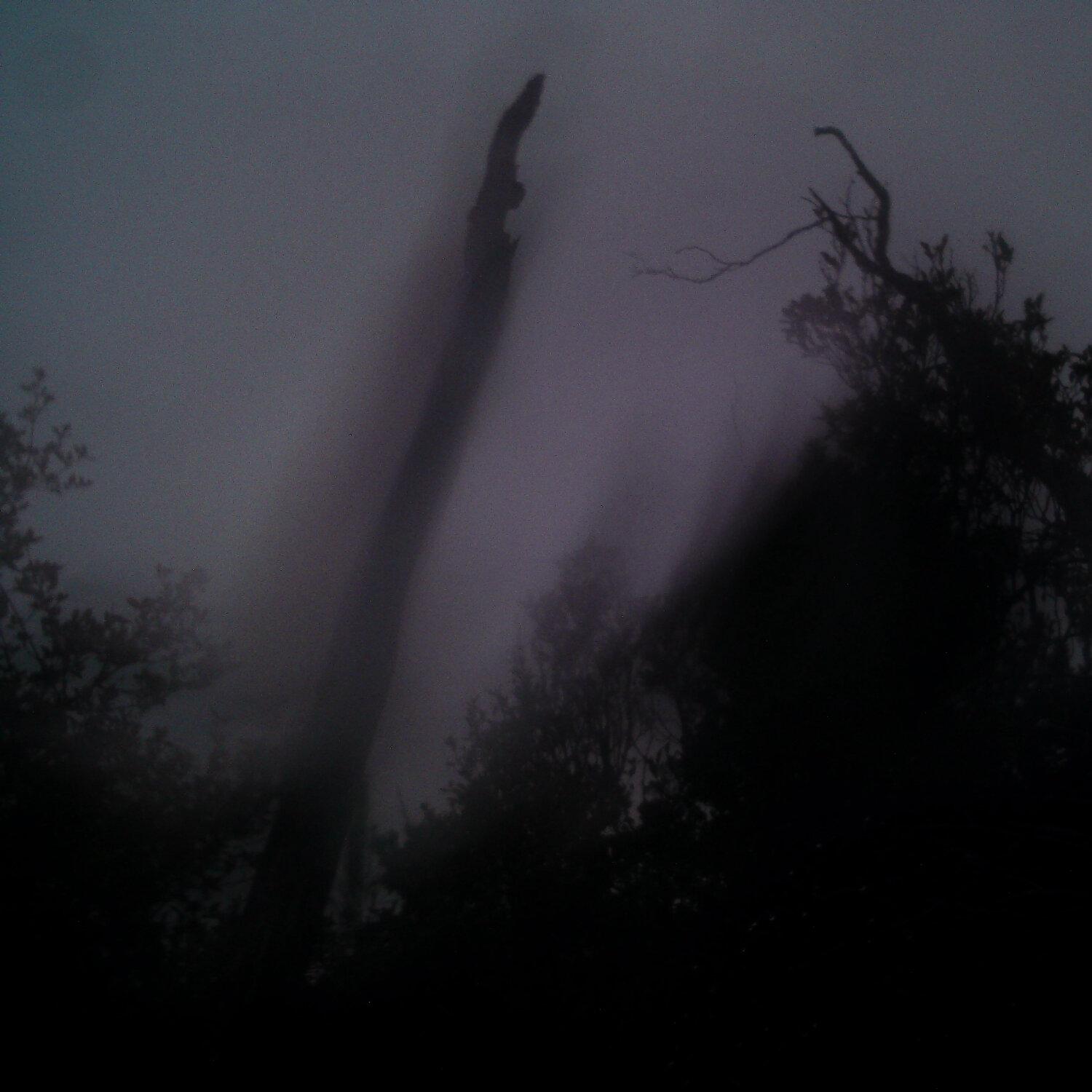 A photo captured from the webcam at the time the audio was recorded