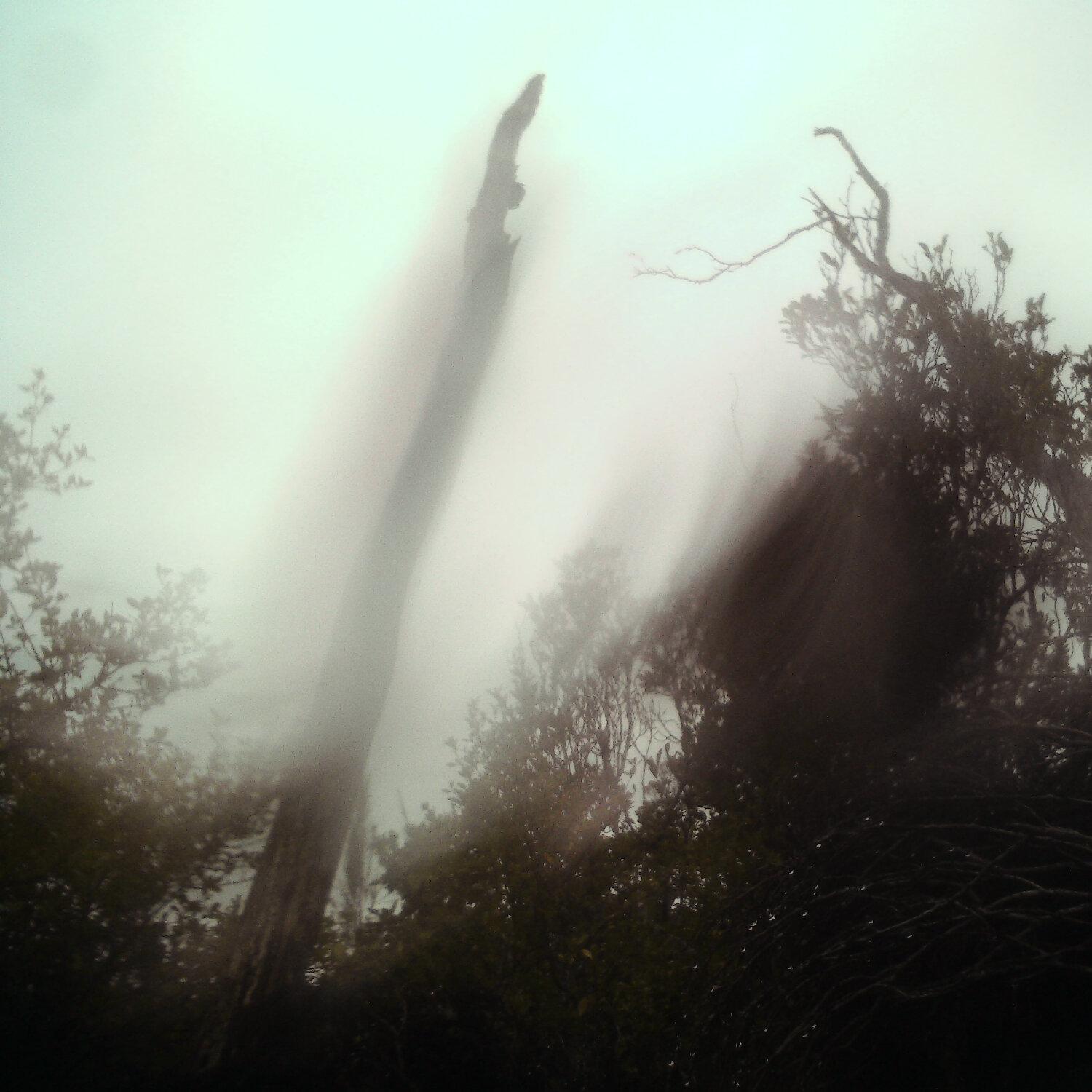 A photo captured from the webcam at the time the audio was recorded