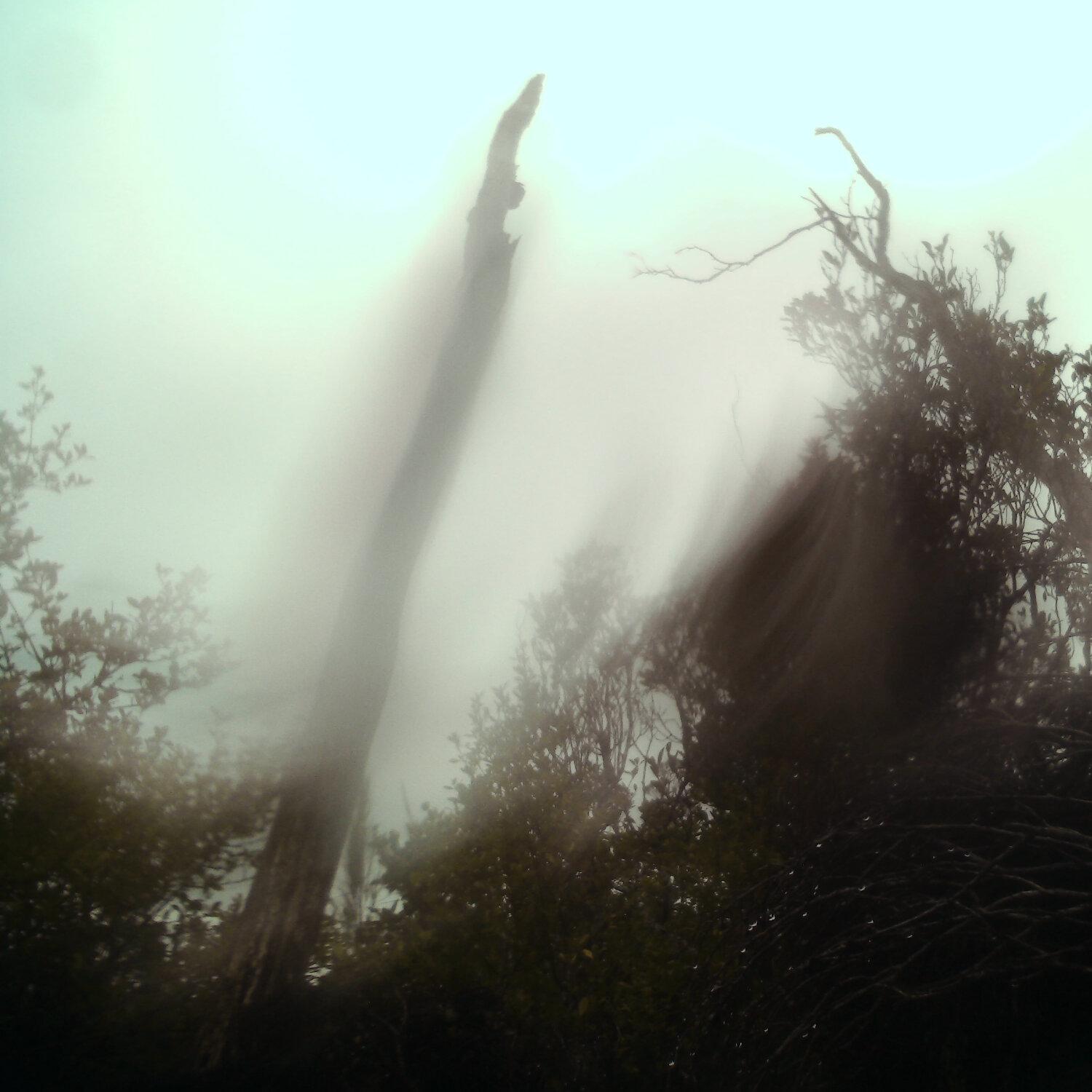 A photo captured from the webcam at the time the audio was recorded
