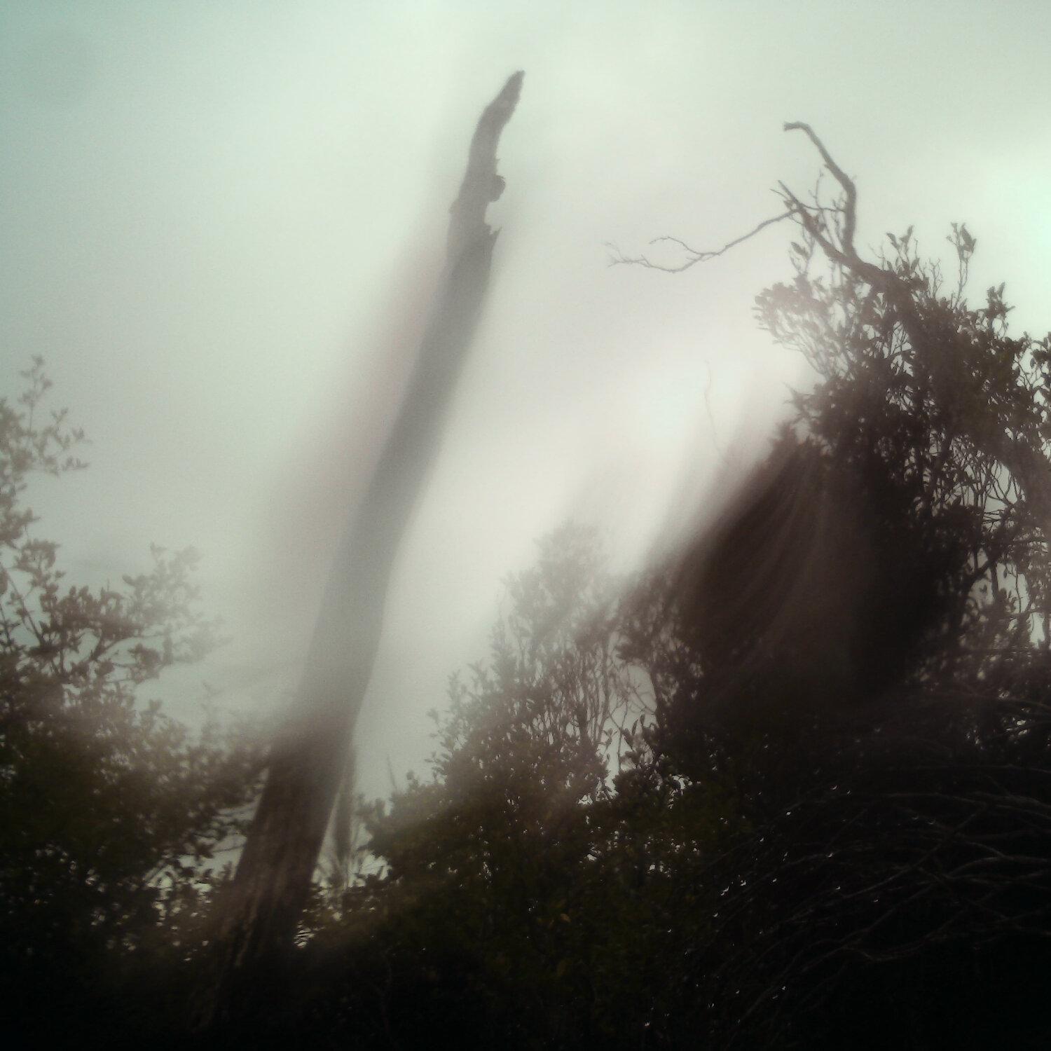 A photo captured from the webcam at the time the audio was recorded