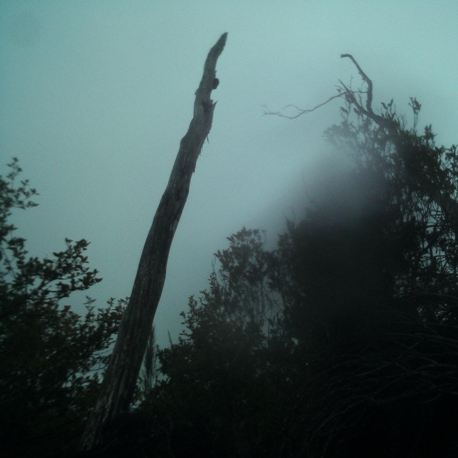 A photo captured from the webcam at the time the audio was recorded