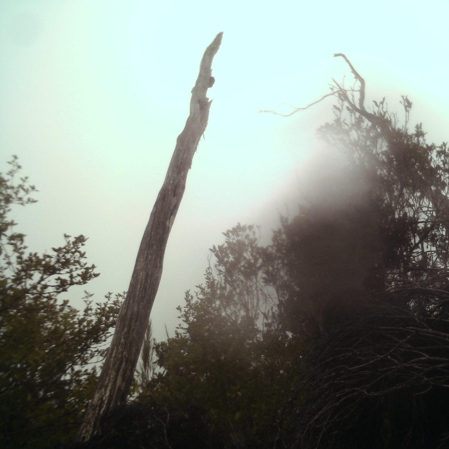 A photo captured from the webcam at the time the audio was recorded