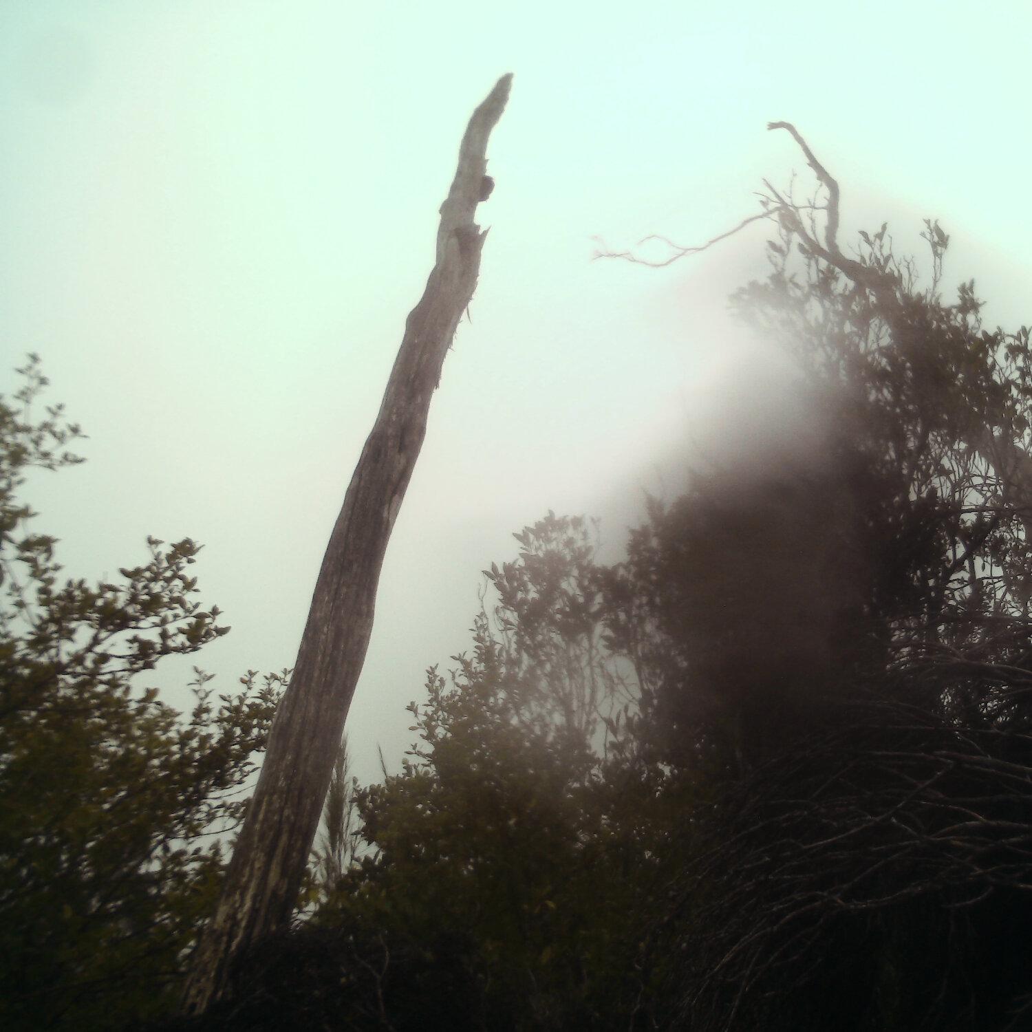 A photo captured from the webcam at the time the audio was recorded