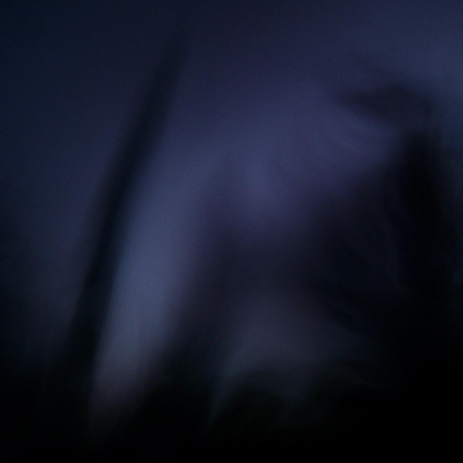 A photo captured from the webcam at the time the audio was recorded