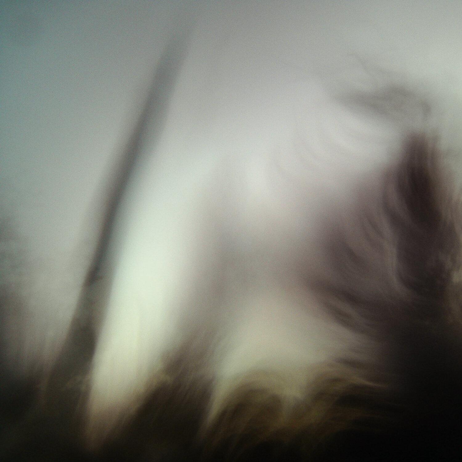 A photo captured from the webcam at the time the audio was recorded