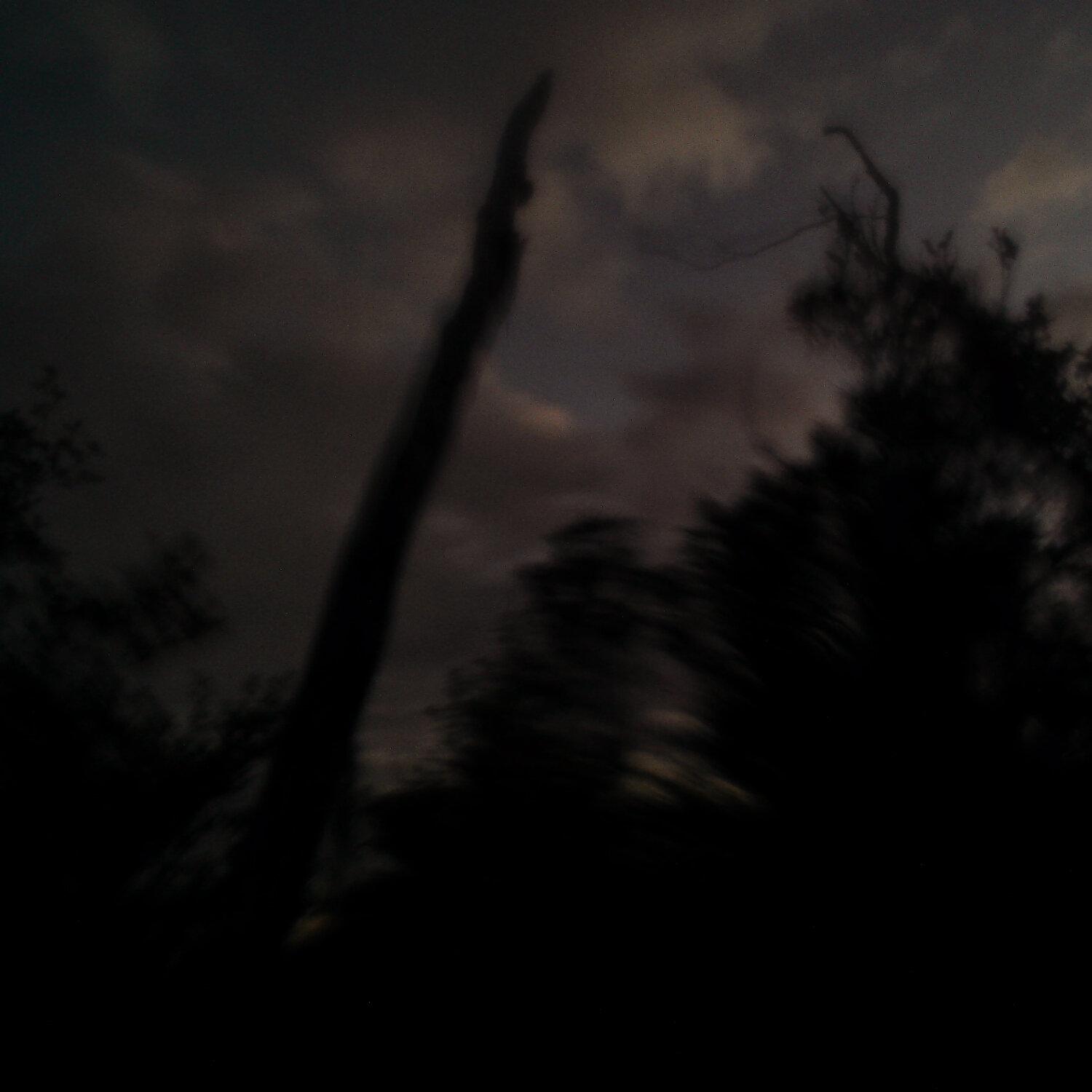 A photo captured from the webcam at the time the audio was recorded