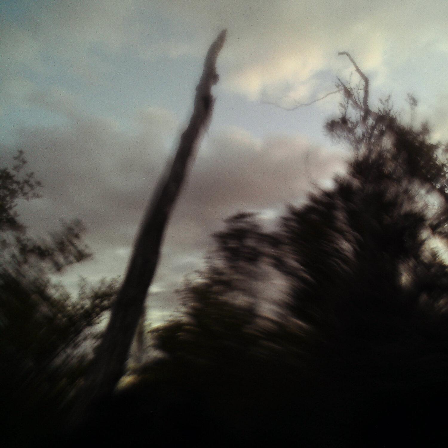 A photo captured from the webcam at the time the audio was recorded