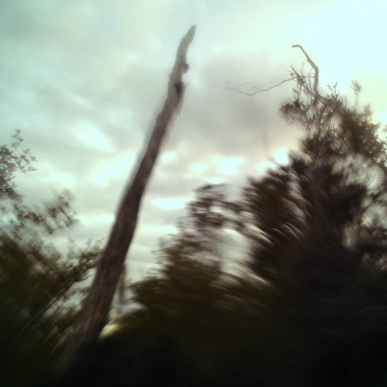 A photo captured from the webcam at the time the audio was recorded