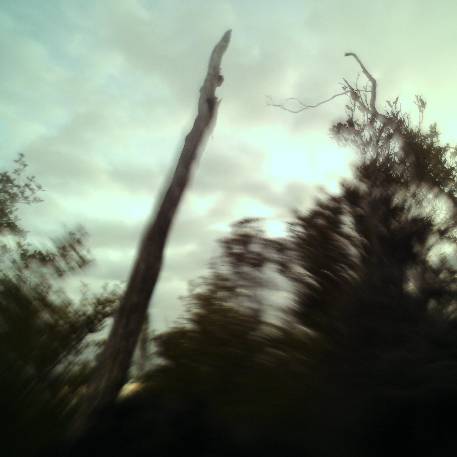 A photo captured from the webcam at the time the audio was recorded