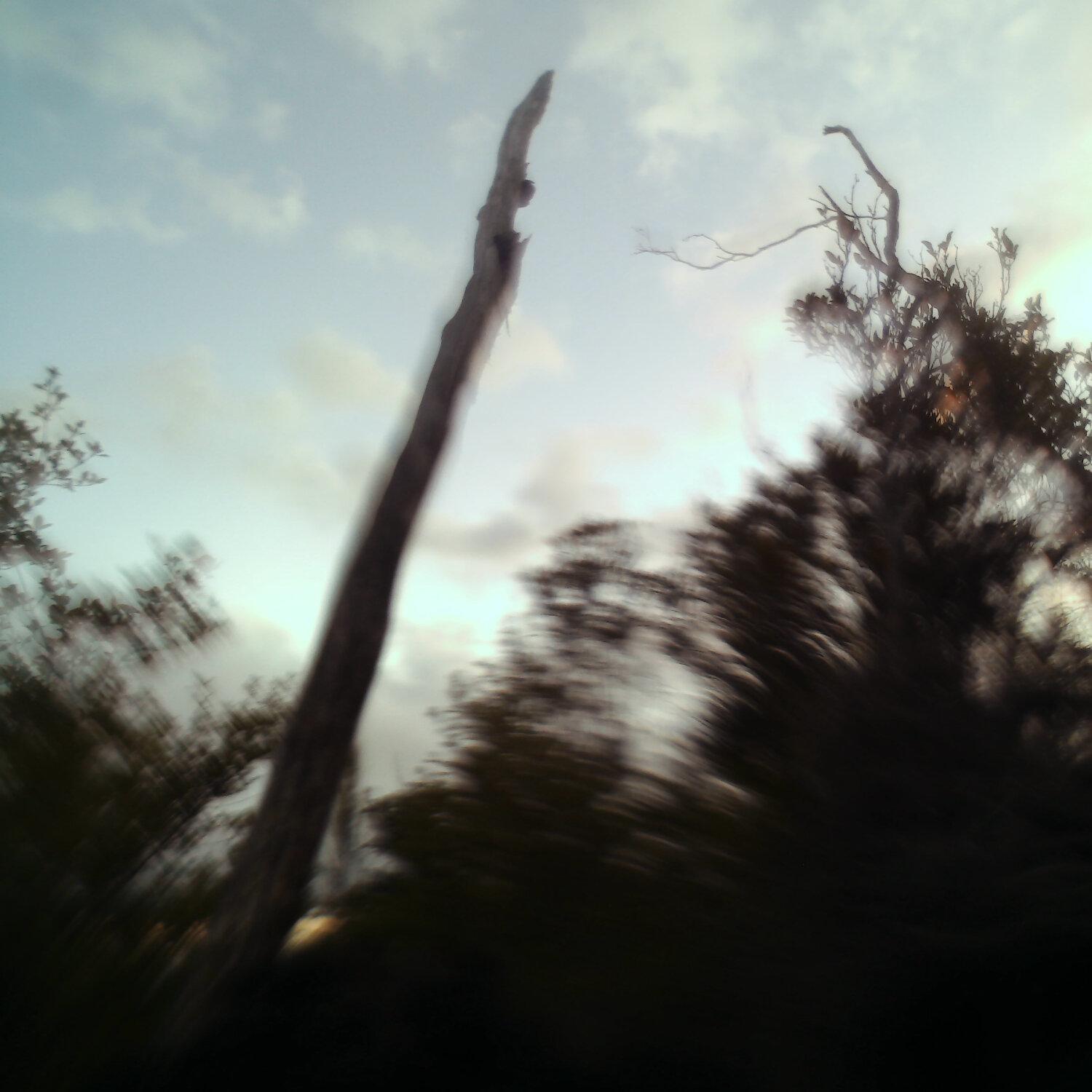 A photo captured from the webcam at the time the audio was recorded