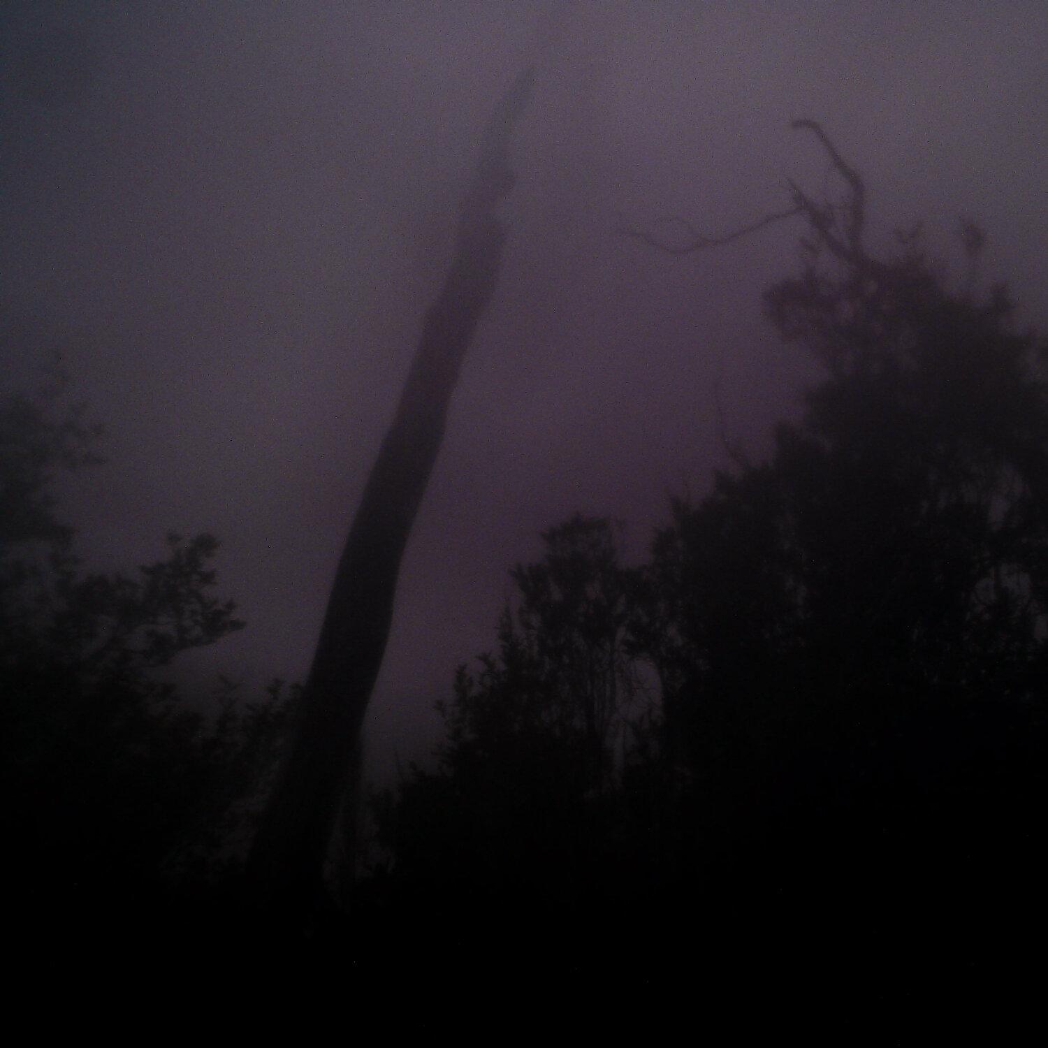A photo captured from the webcam at the time the audio was recorded